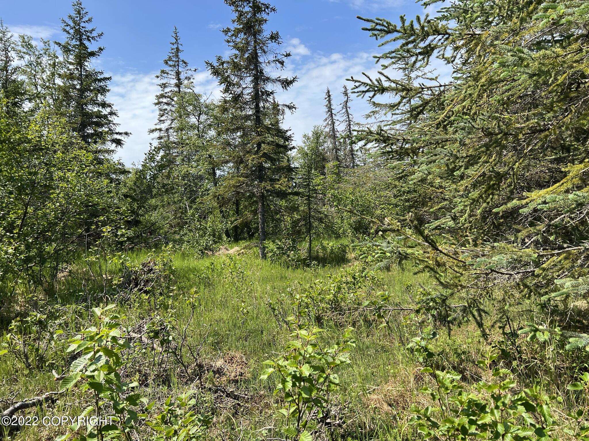 14185 Sterling Highway, Ninilchik, Alaska image 22