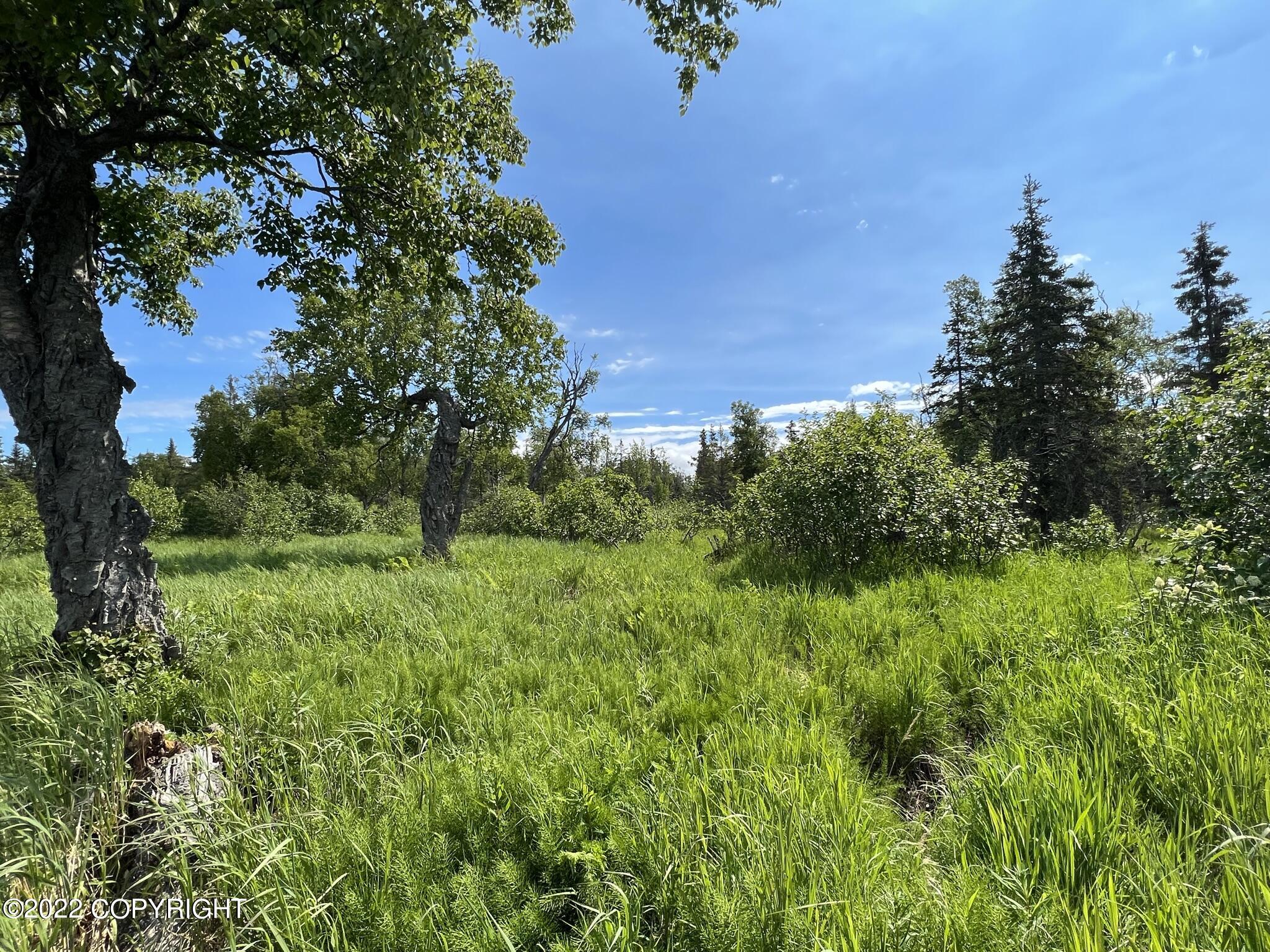14185 Sterling Highway, Ninilchik, Alaska image 25