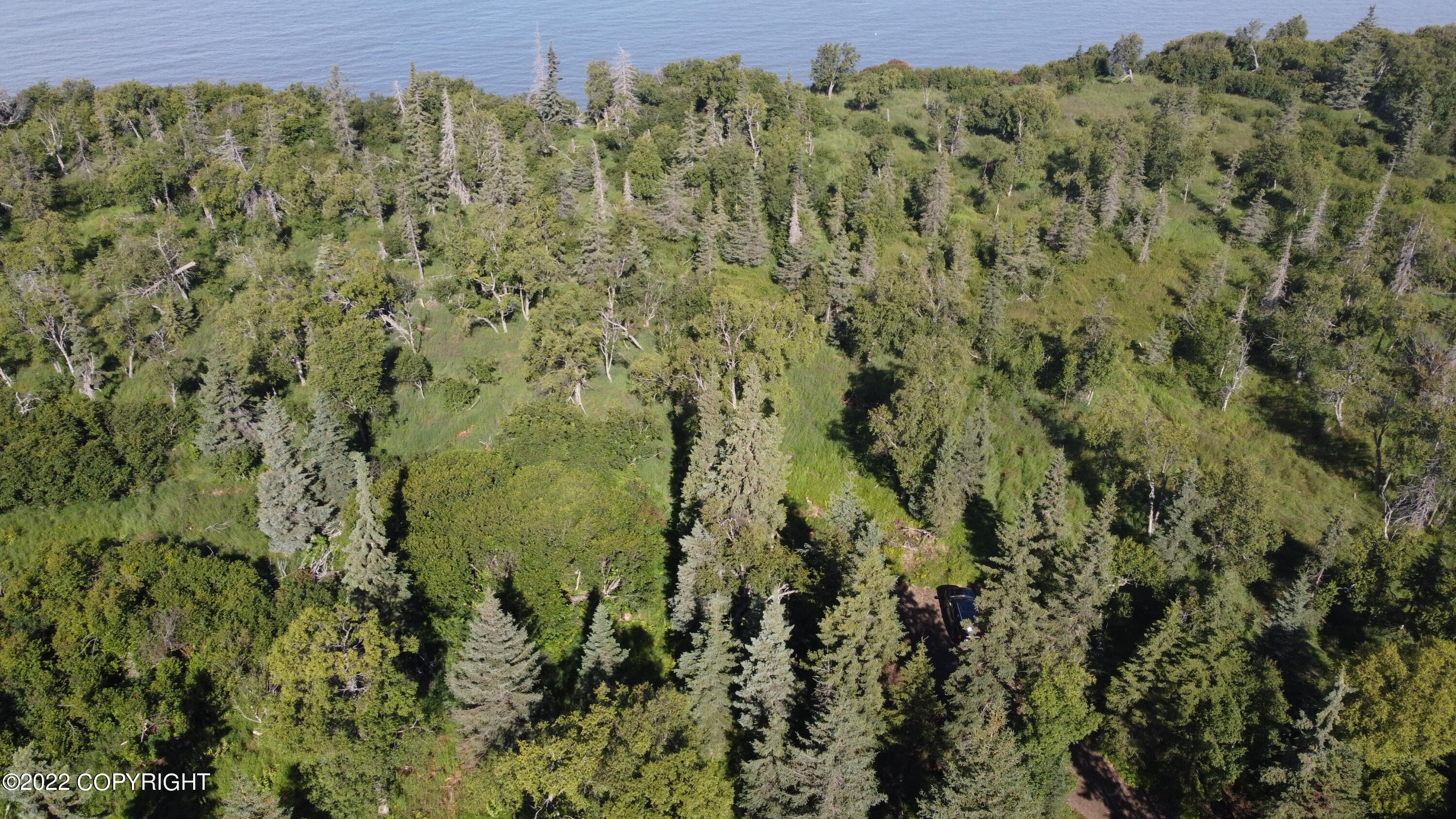 14185 Sterling Highway, Ninilchik, Alaska image 37