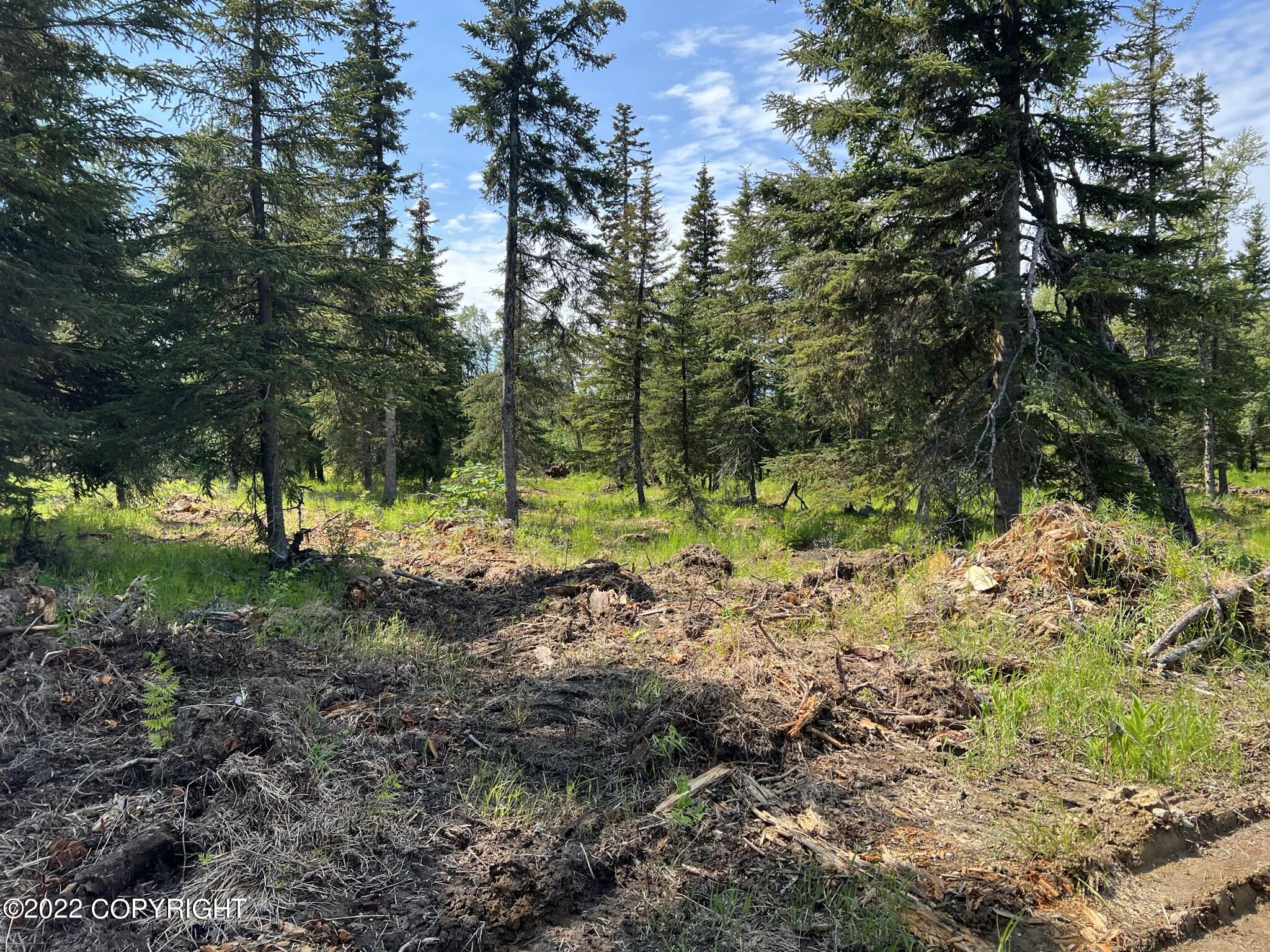 14185 Sterling Highway, Ninilchik, Alaska image 14