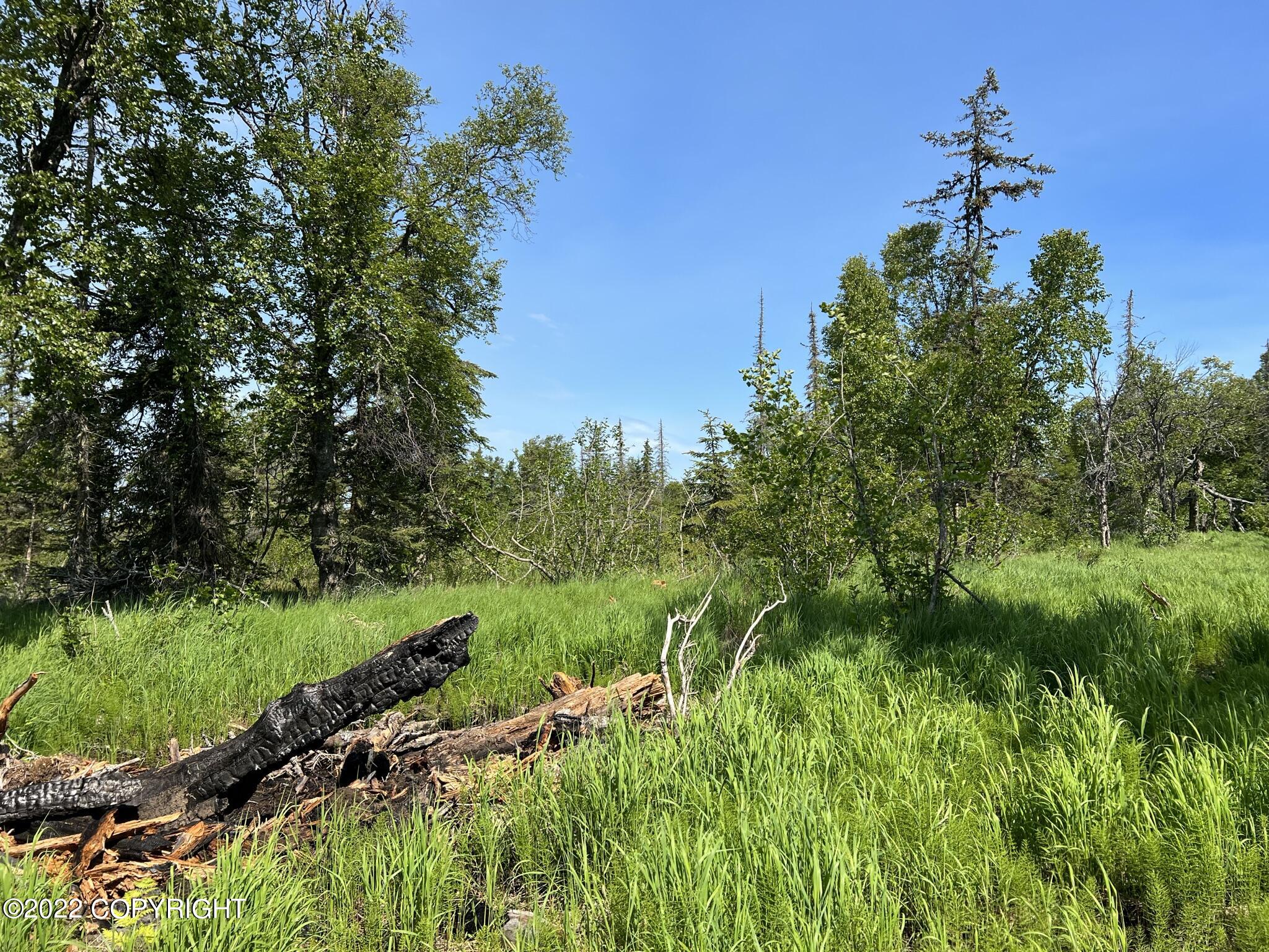 14185 Sterling Highway, Ninilchik, Alaska image 21