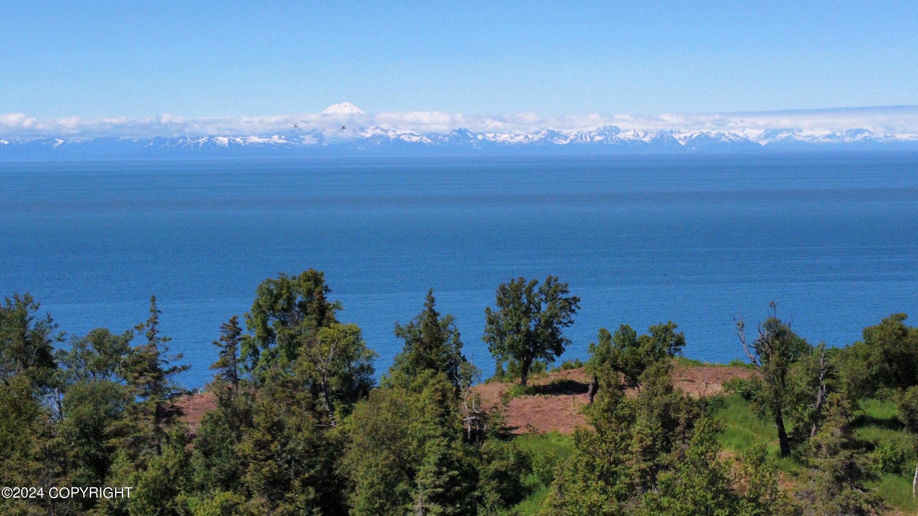 14185 Sterling Highway, Ninilchik, Alaska image 1