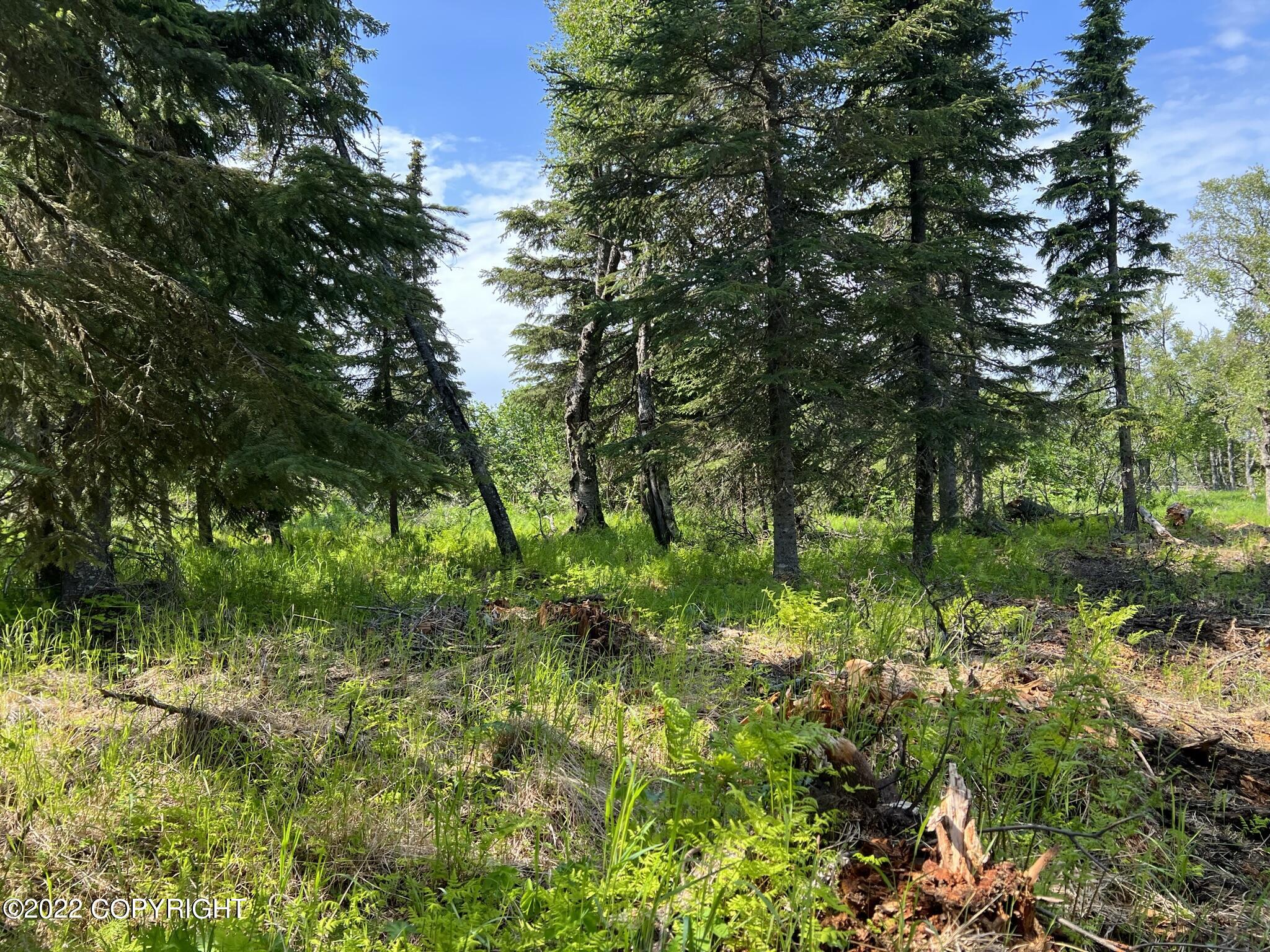 14185 Sterling Highway, Ninilchik, Alaska image 19