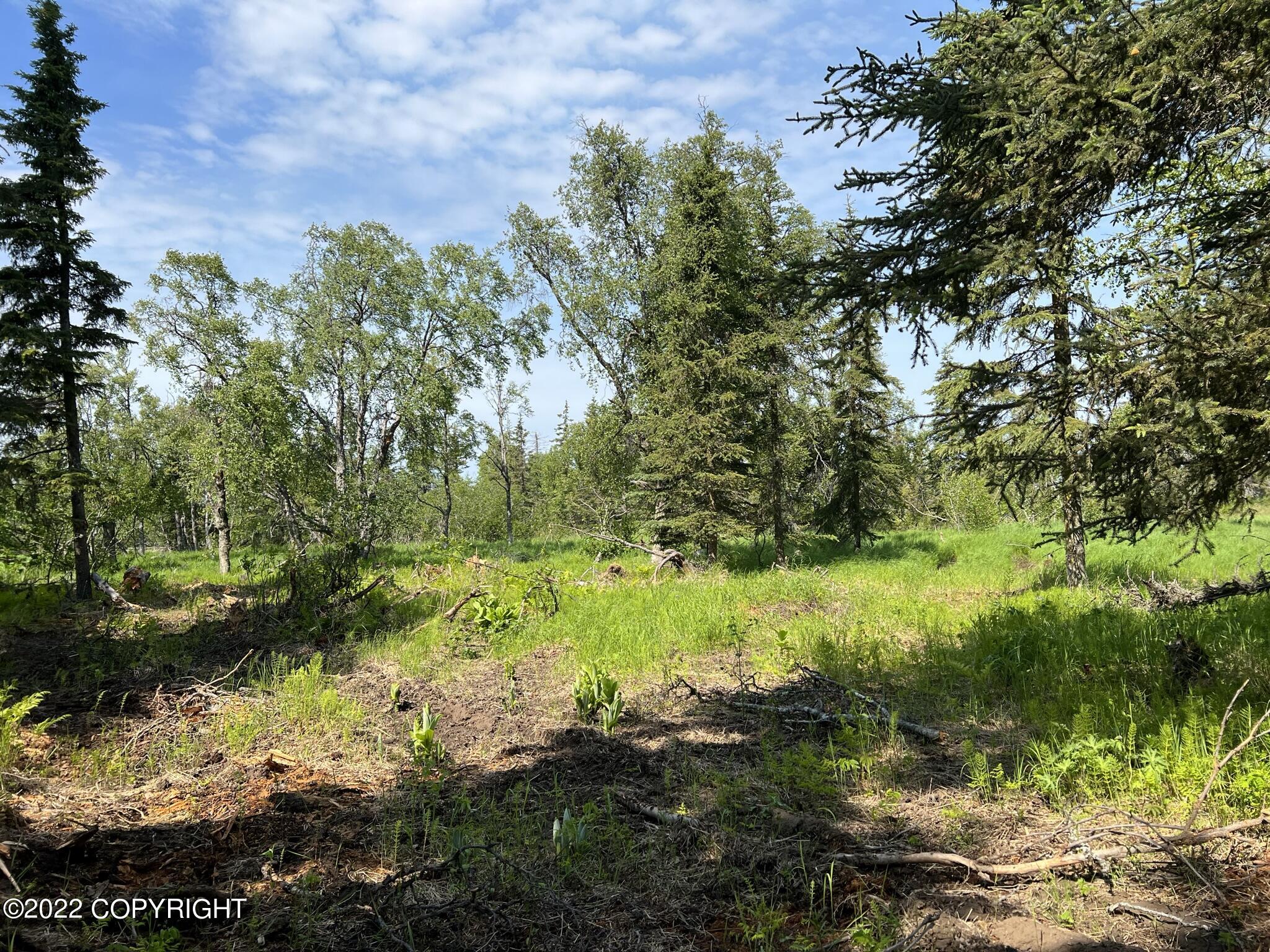 14185 Sterling Highway, Ninilchik, Alaska image 18