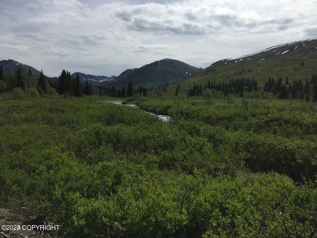 Mile 18 Willow-fishhook Road, Willow, Alaska image 6