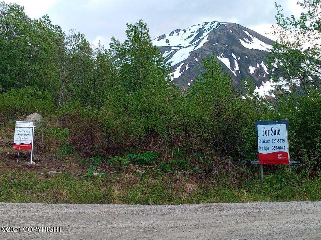 Mile 18 Willow-fishhook Road, Willow, Alaska image 12
