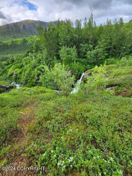 Mile 18 Willow-fishhook Road, Willow, Alaska image 9
