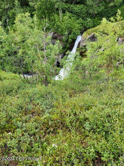 Mile 18 Willow-fishhook Road, Willow, Alaska image 15