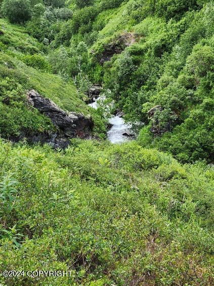 Mile 18 Willow-fishhook Road, Willow, Alaska image 11