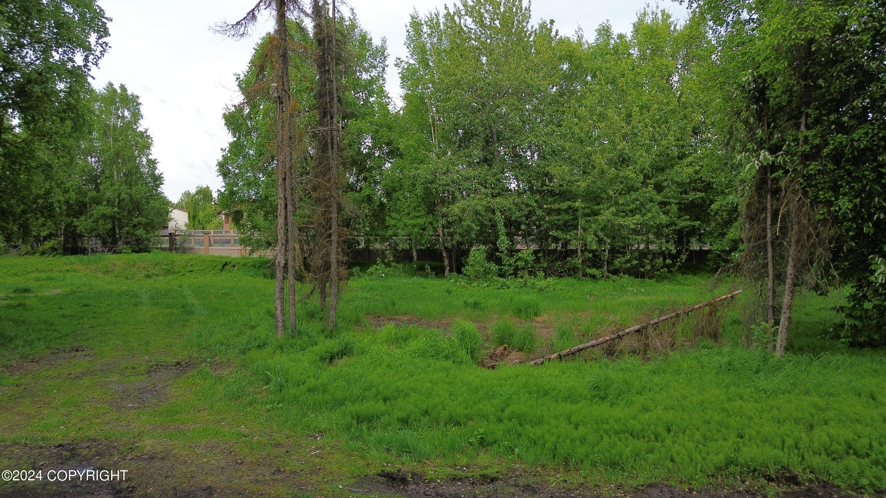NHN Branche Circle, Anchorage, Alaska image 4