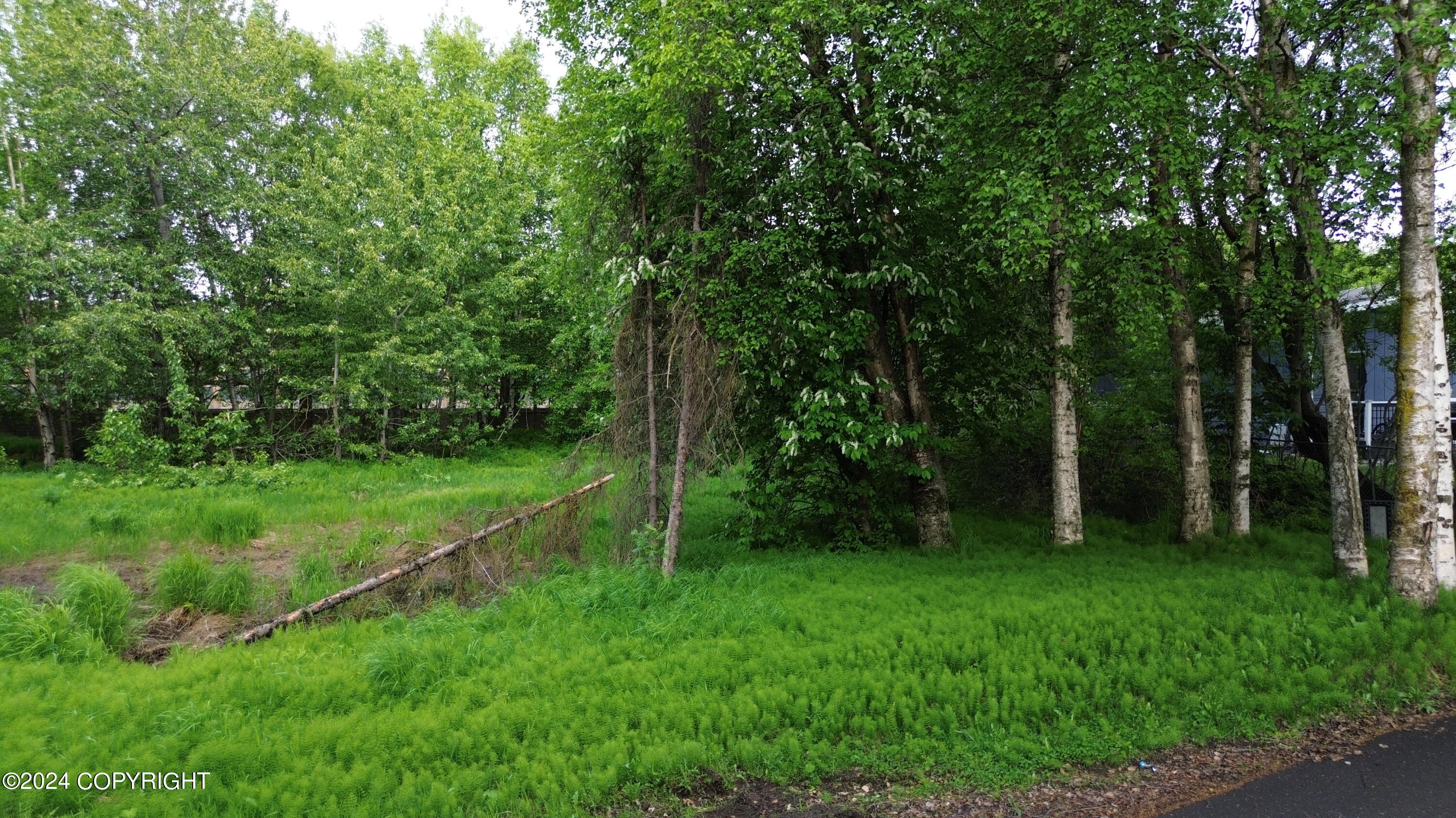 NHN Branche Circle, Anchorage, Alaska image 3