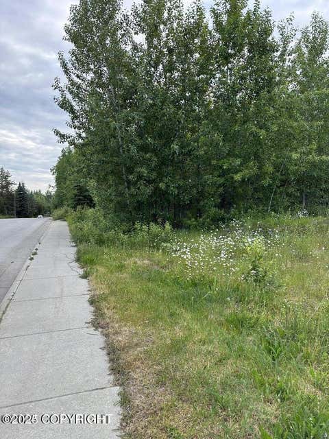 Vacant Land For Sale - 000 Wesleyan Drive<br/> Anchorage, AK 99503