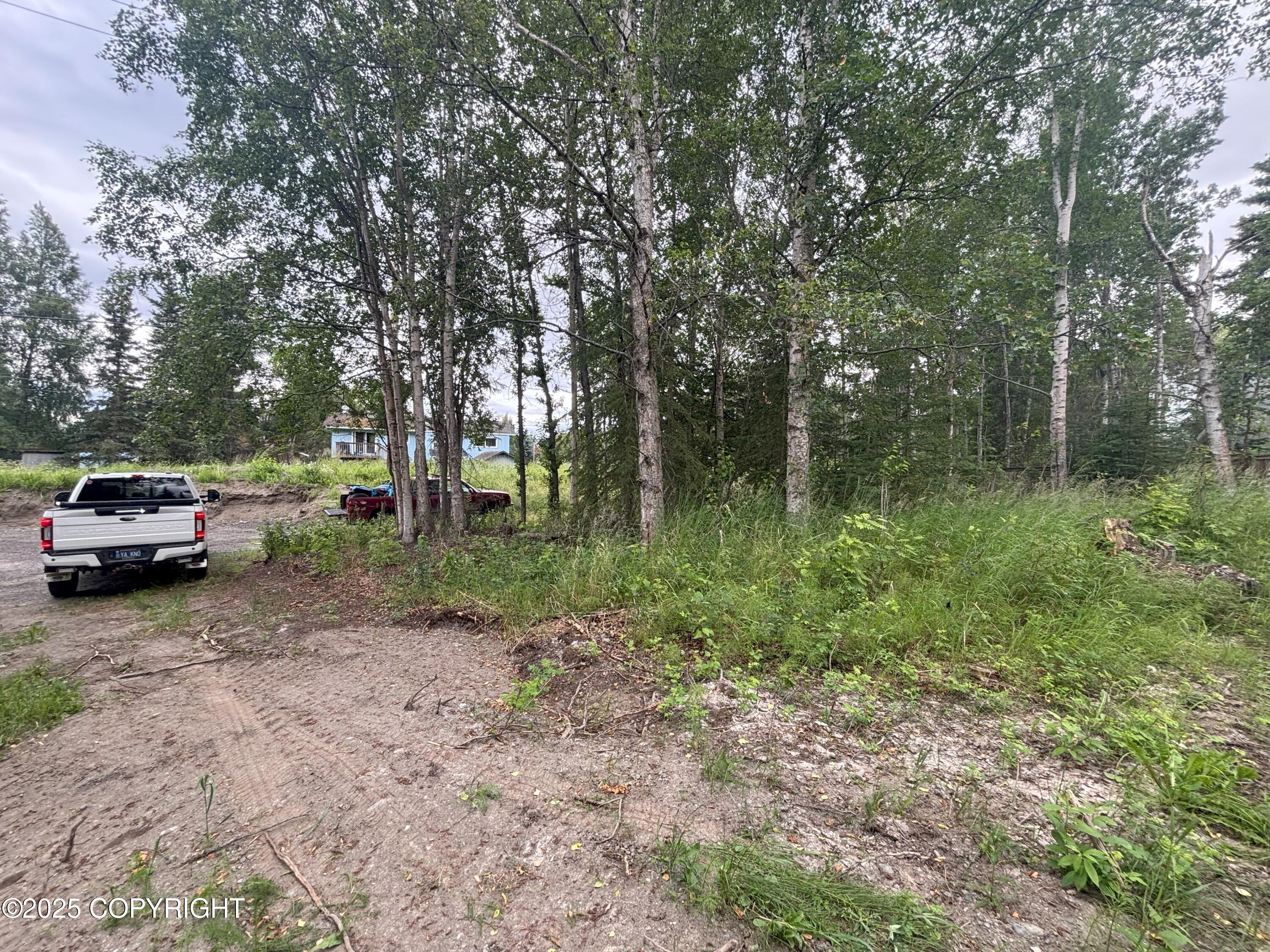 Anchorage, Alaska 99517, United States, ,Land,Active,171950