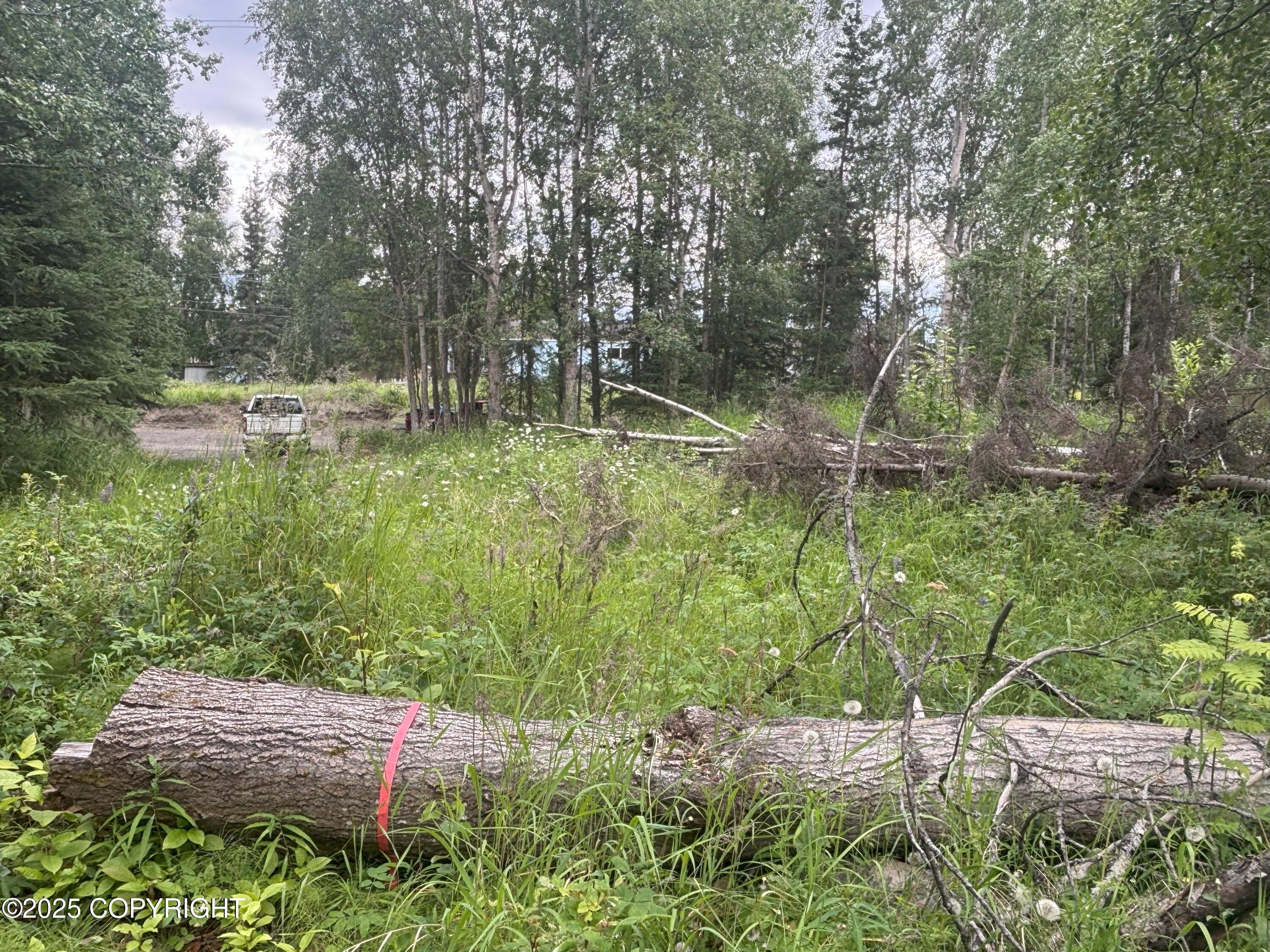 Anchorage, Alaska 99517, United States, ,Land,Active,171950