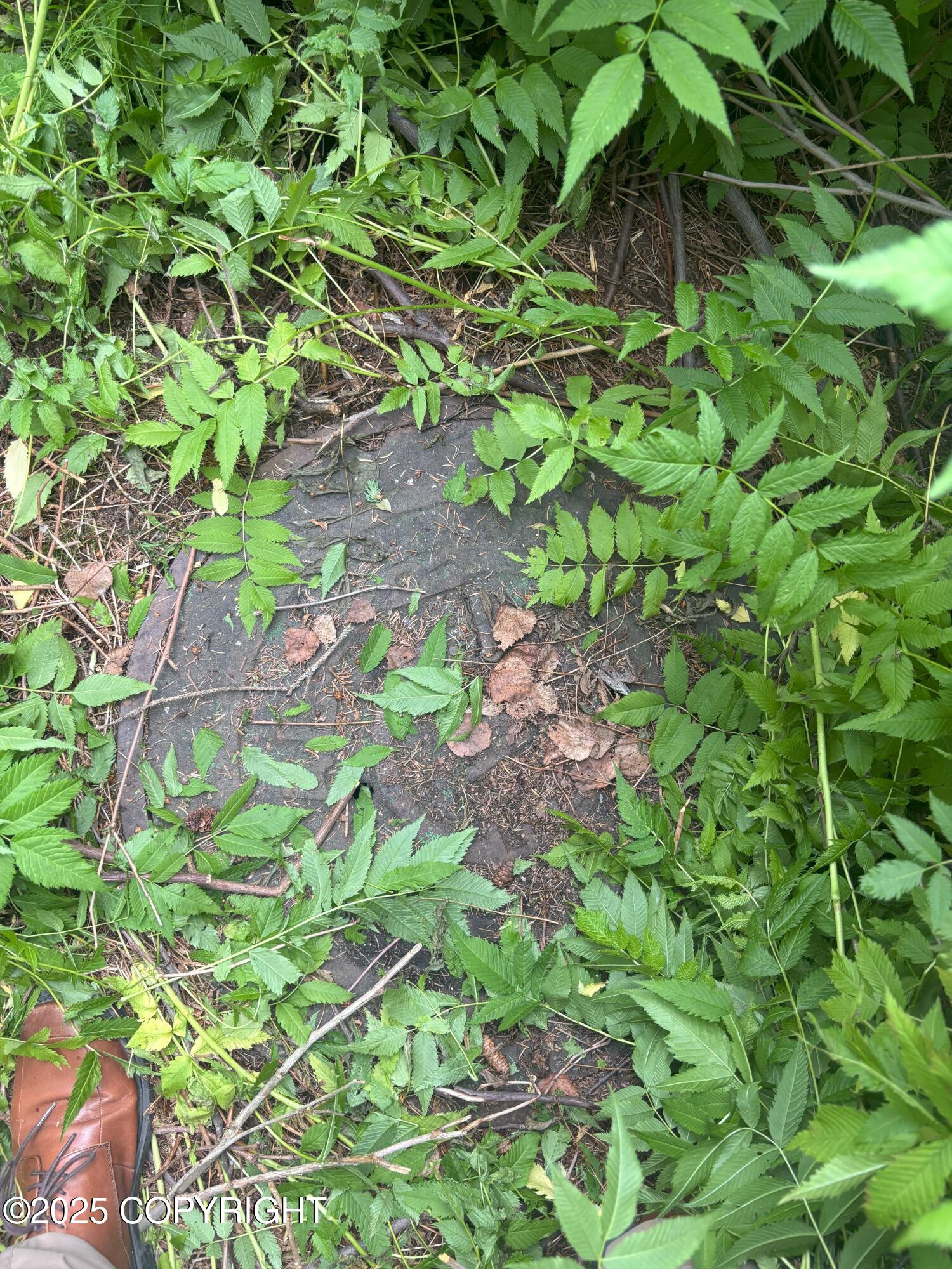 Anchorage, Alaska 99517, United States, ,Land,Active,171950