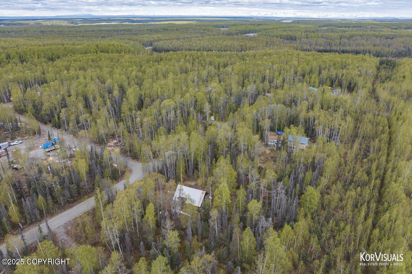 44965 S Susitna Street, Talkeetna, Alaska image 18