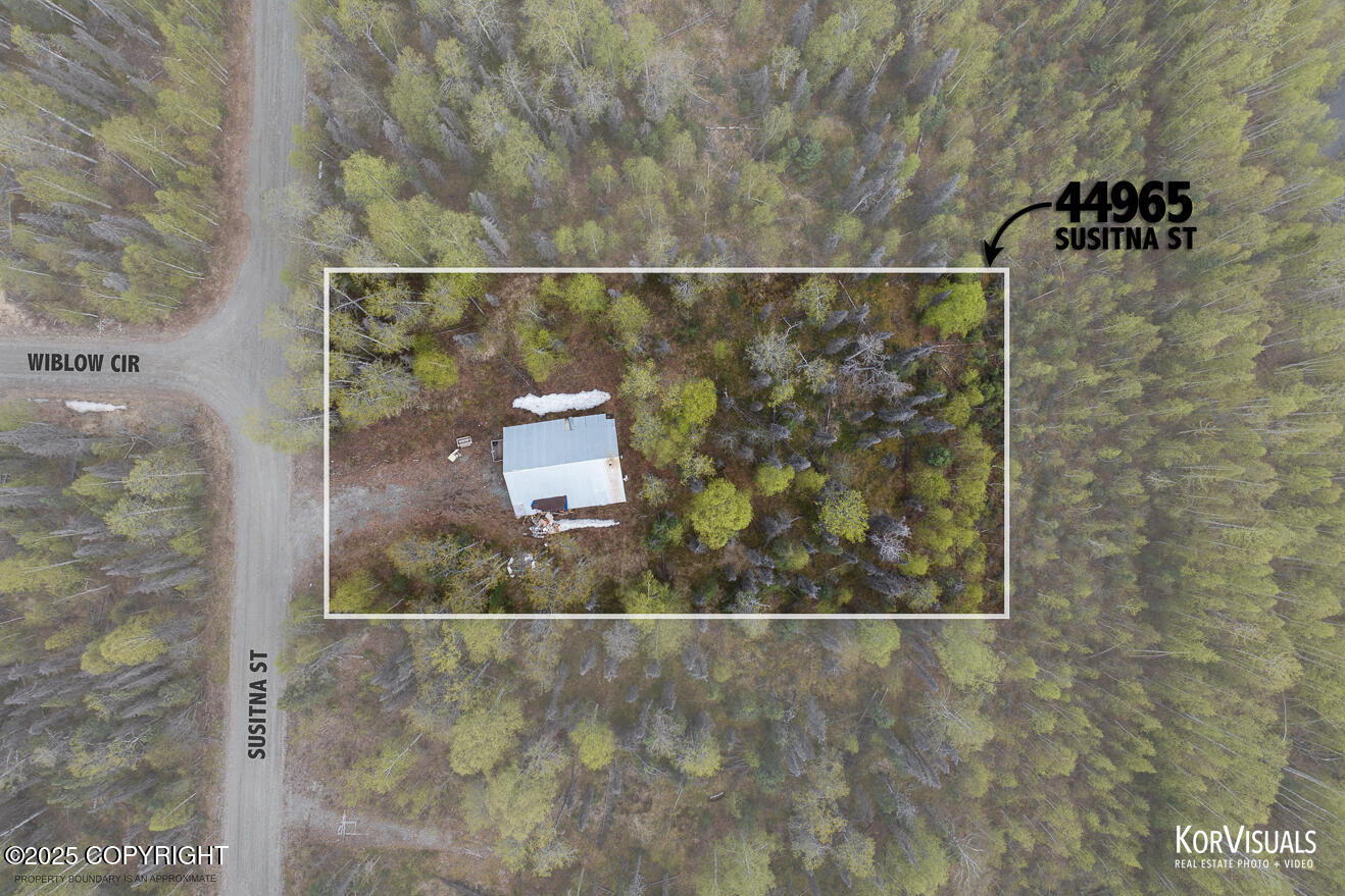 44965 S Susitna Street, Talkeetna, Alaska image 8