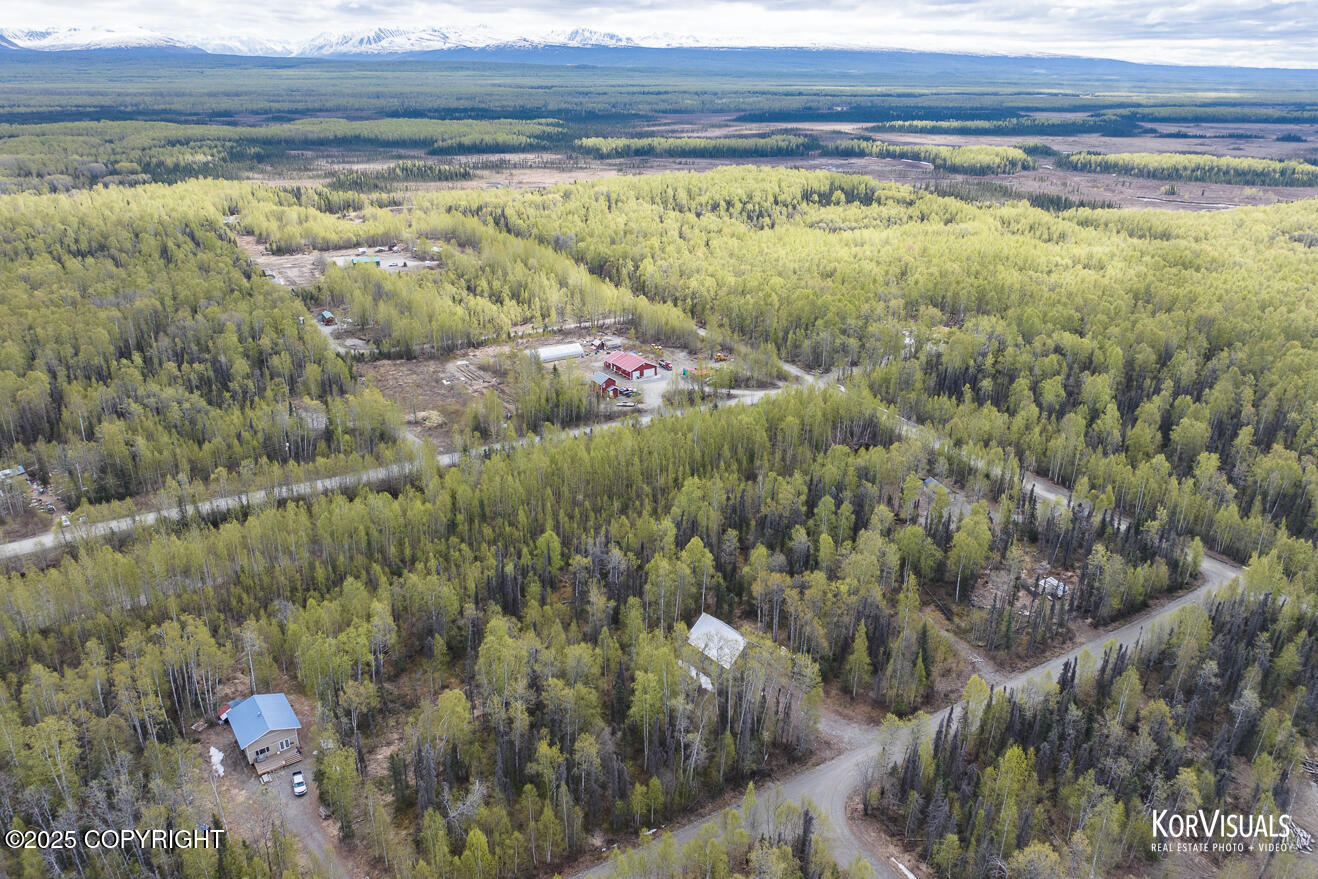 44965 S Susitna Street, Talkeetna, Alaska image 3