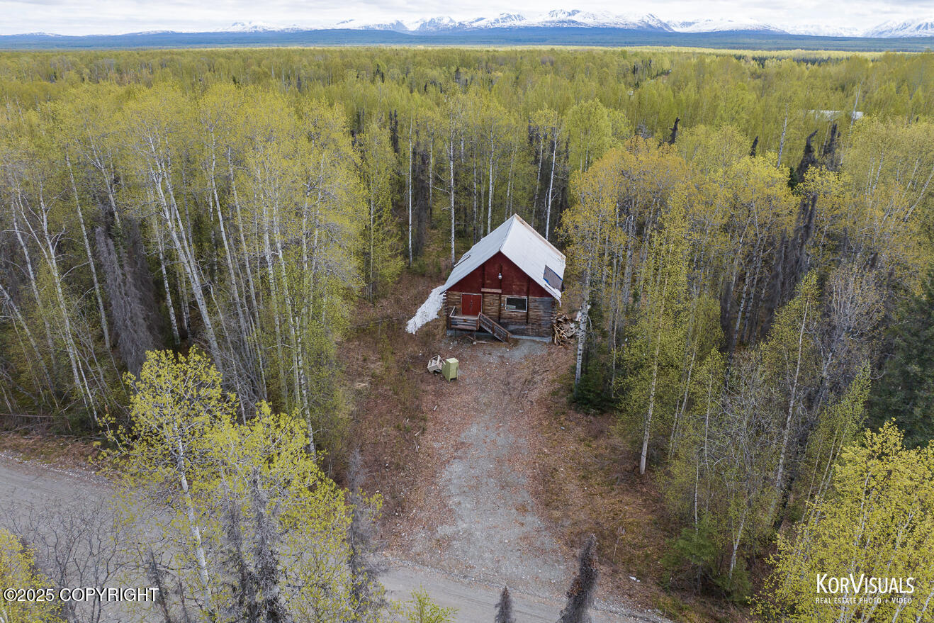 44965 S Susitna Street, Talkeetna, Alaska image 1