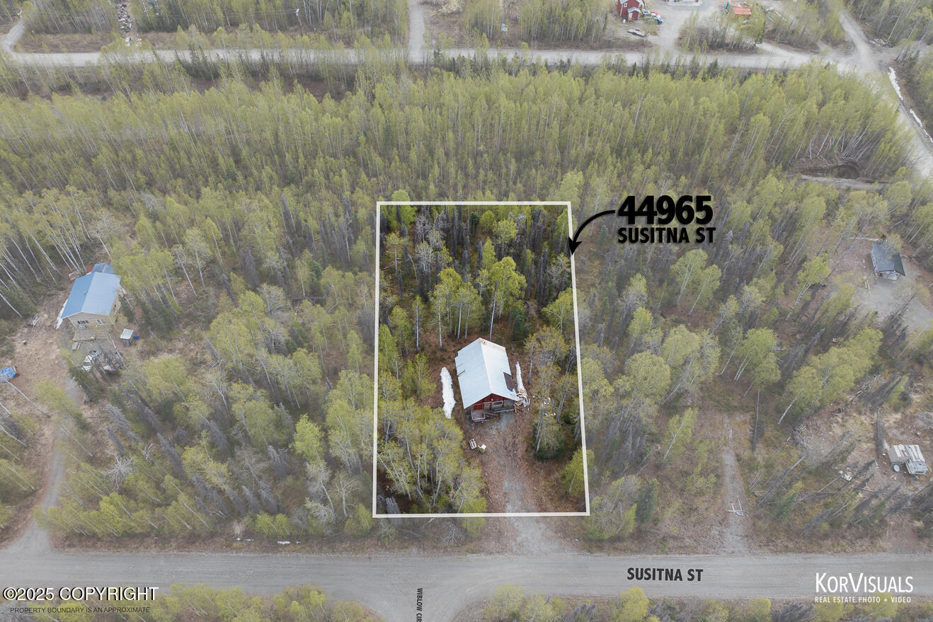 44965 S Susitna Street, Talkeetna, Alaska image 4