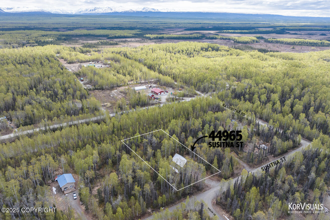 44965 S Susitna Street, Talkeetna, Alaska image 2