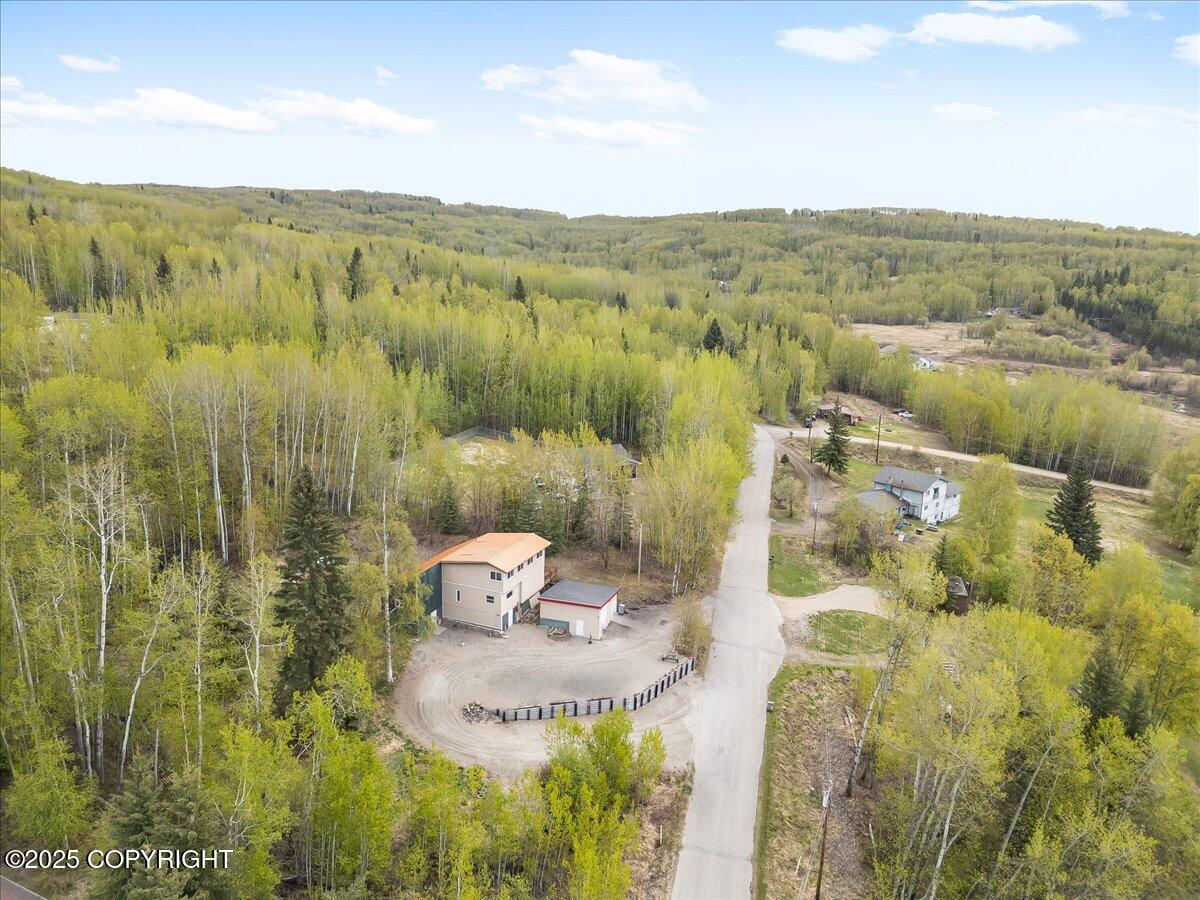 294 Pay Streak Drive, Fairbanks, Alaska image 32