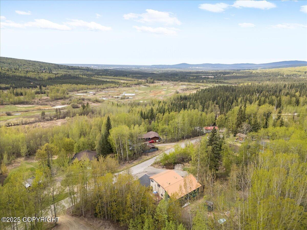 294 Pay Streak Drive, Fairbanks, Alaska image 35
