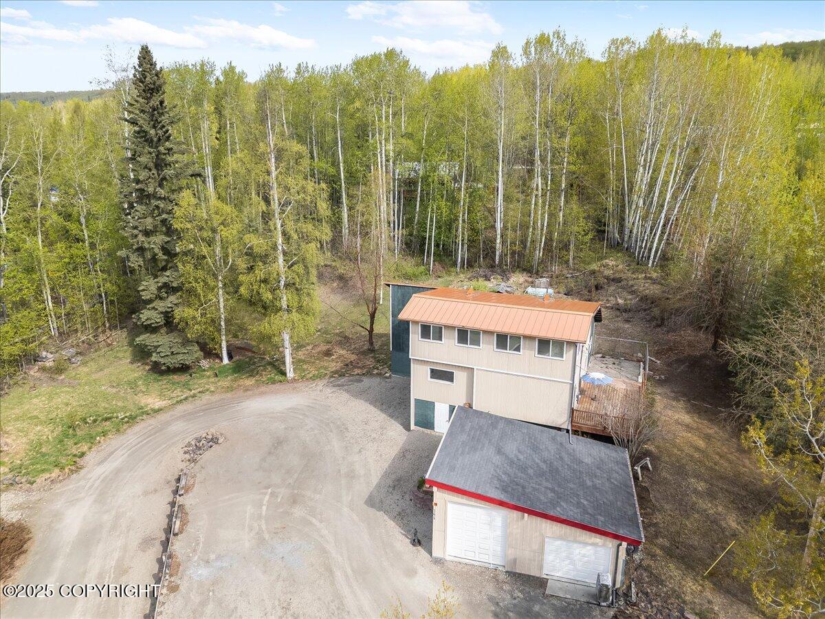 294 Pay Streak Drive, Fairbanks, Alaska image 38