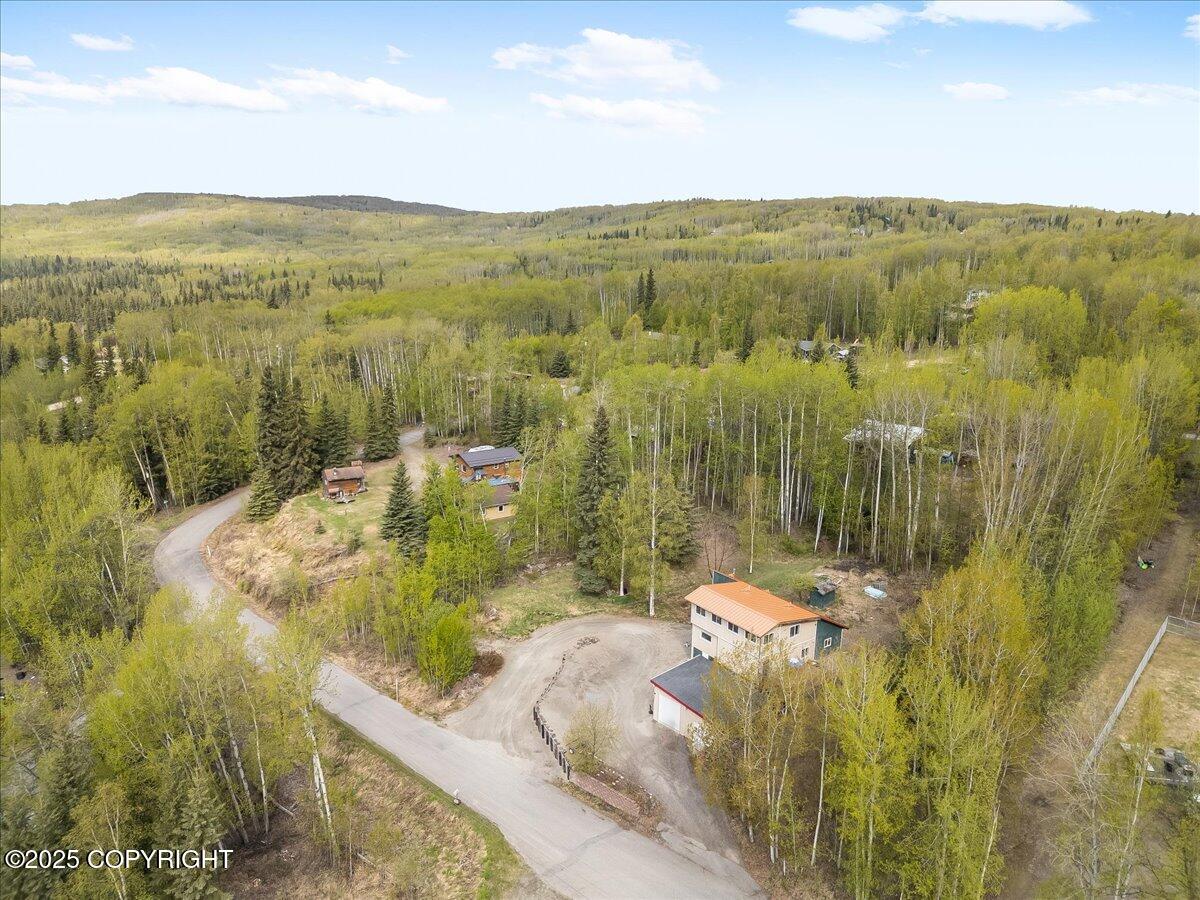 294 Pay Streak Drive, Fairbanks, Alaska image 34