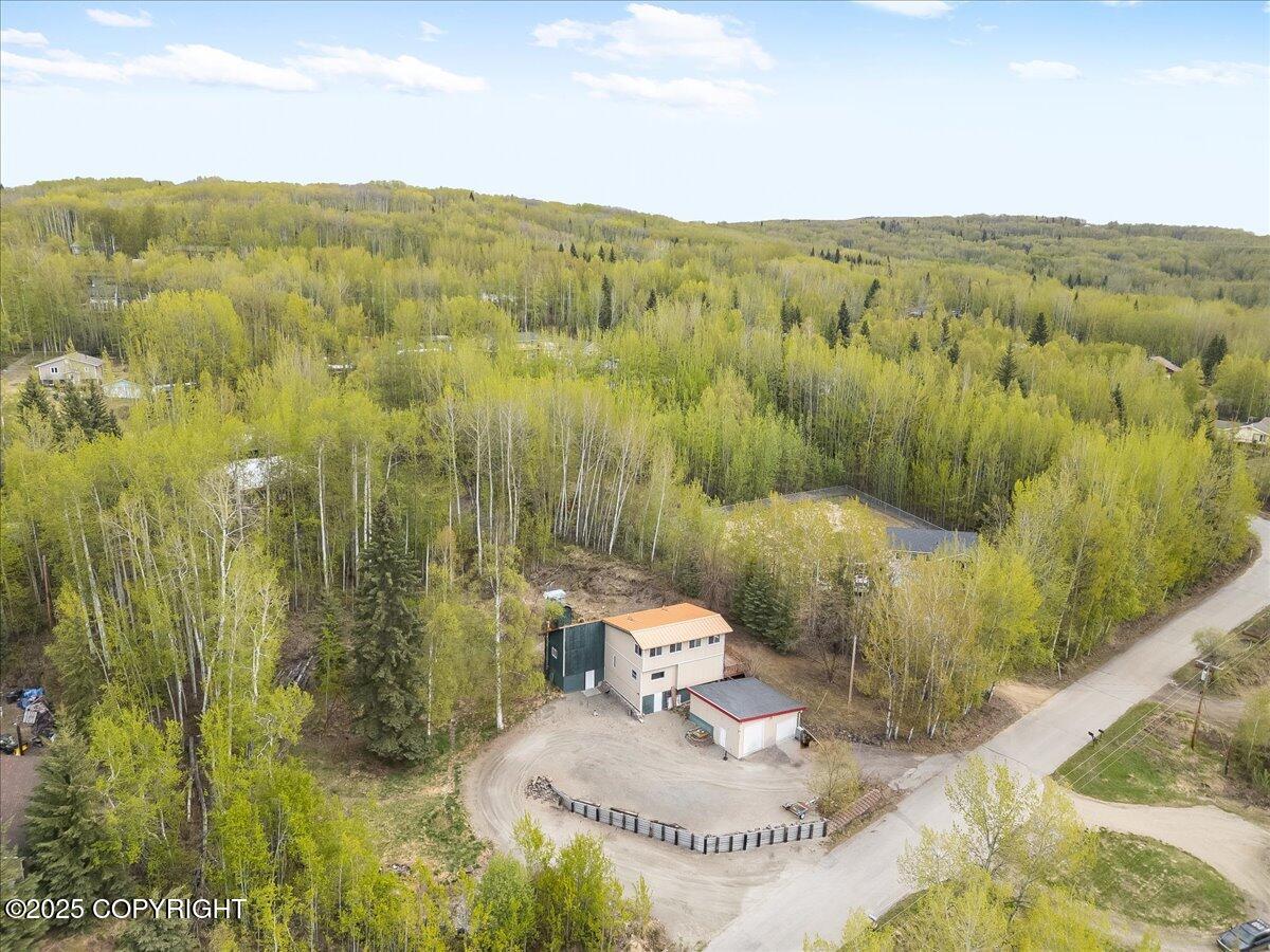 294 Pay Streak Drive, Fairbanks, Alaska image 1