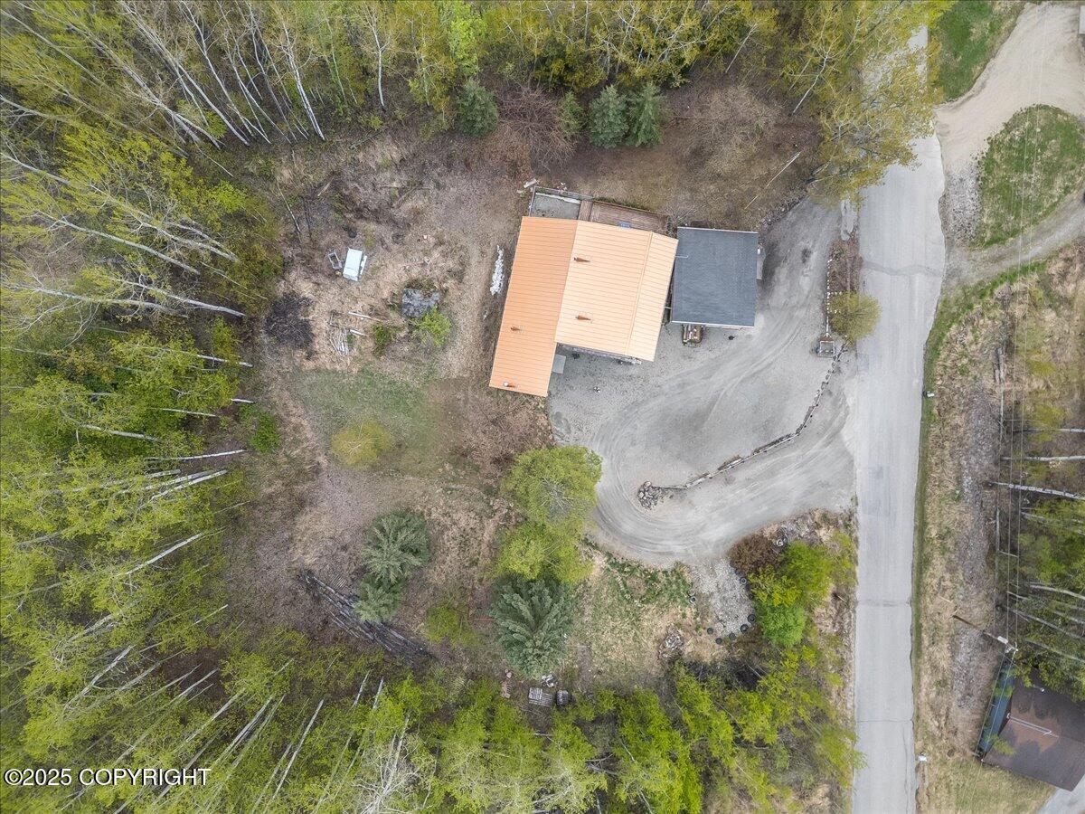 294 Pay Streak Drive, Fairbanks, Alaska image 31