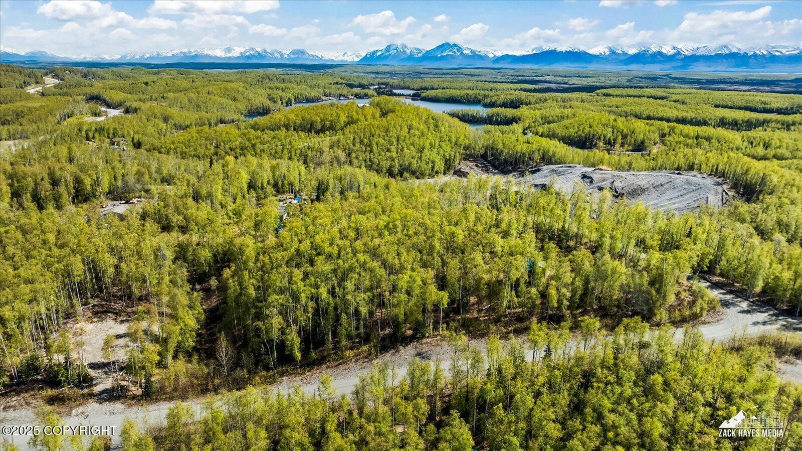 4658 S Burma Road, Big Lake, Alaska image 21