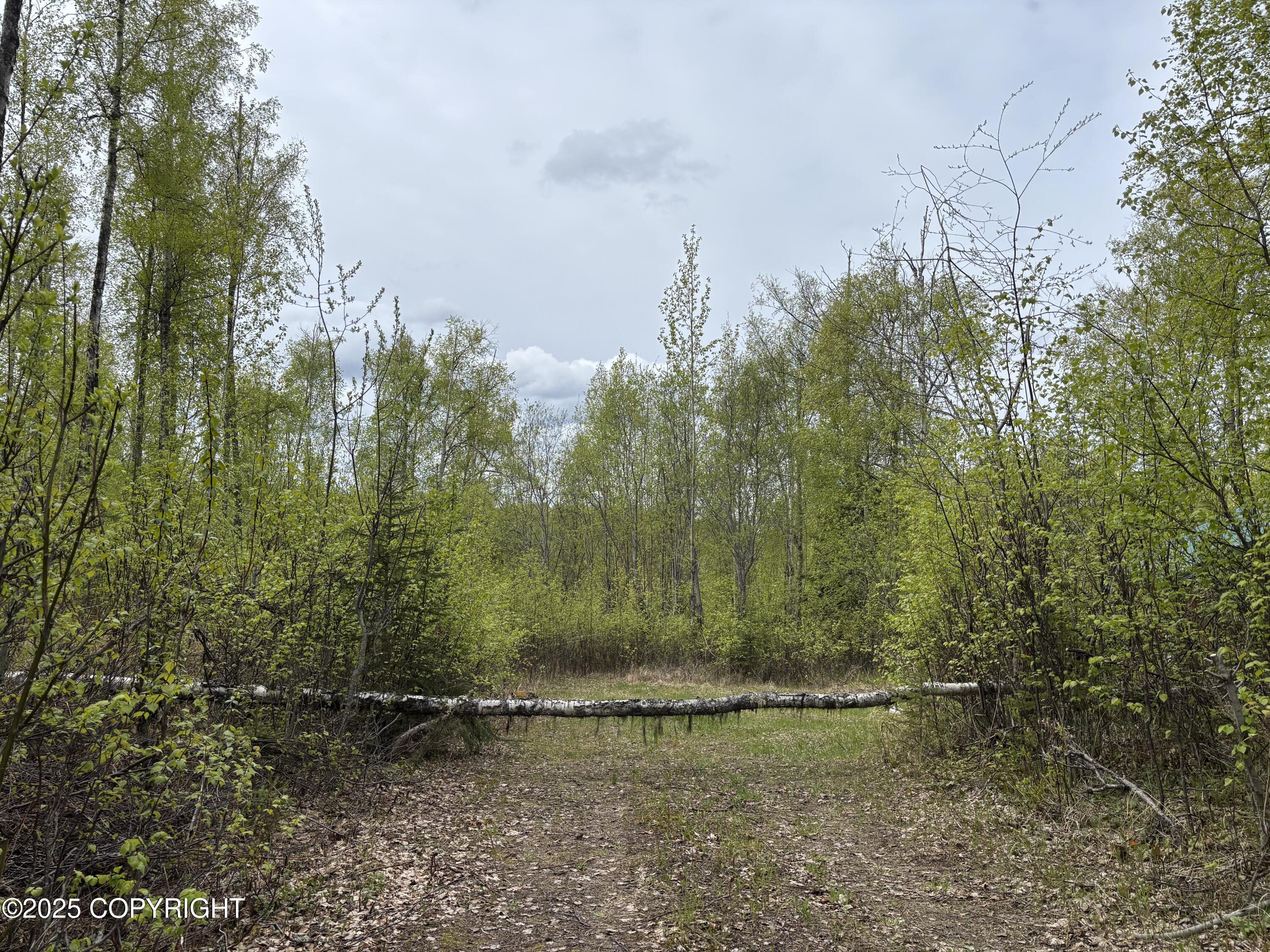 4658 S Burma Road, Big Lake, Alaska image 35