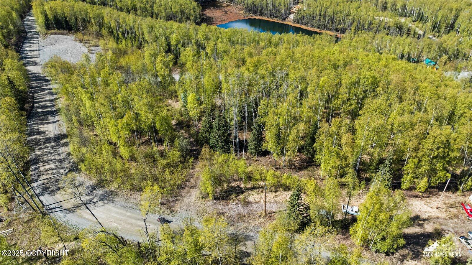 4658 S Burma Road, Big Lake, Alaska image 14