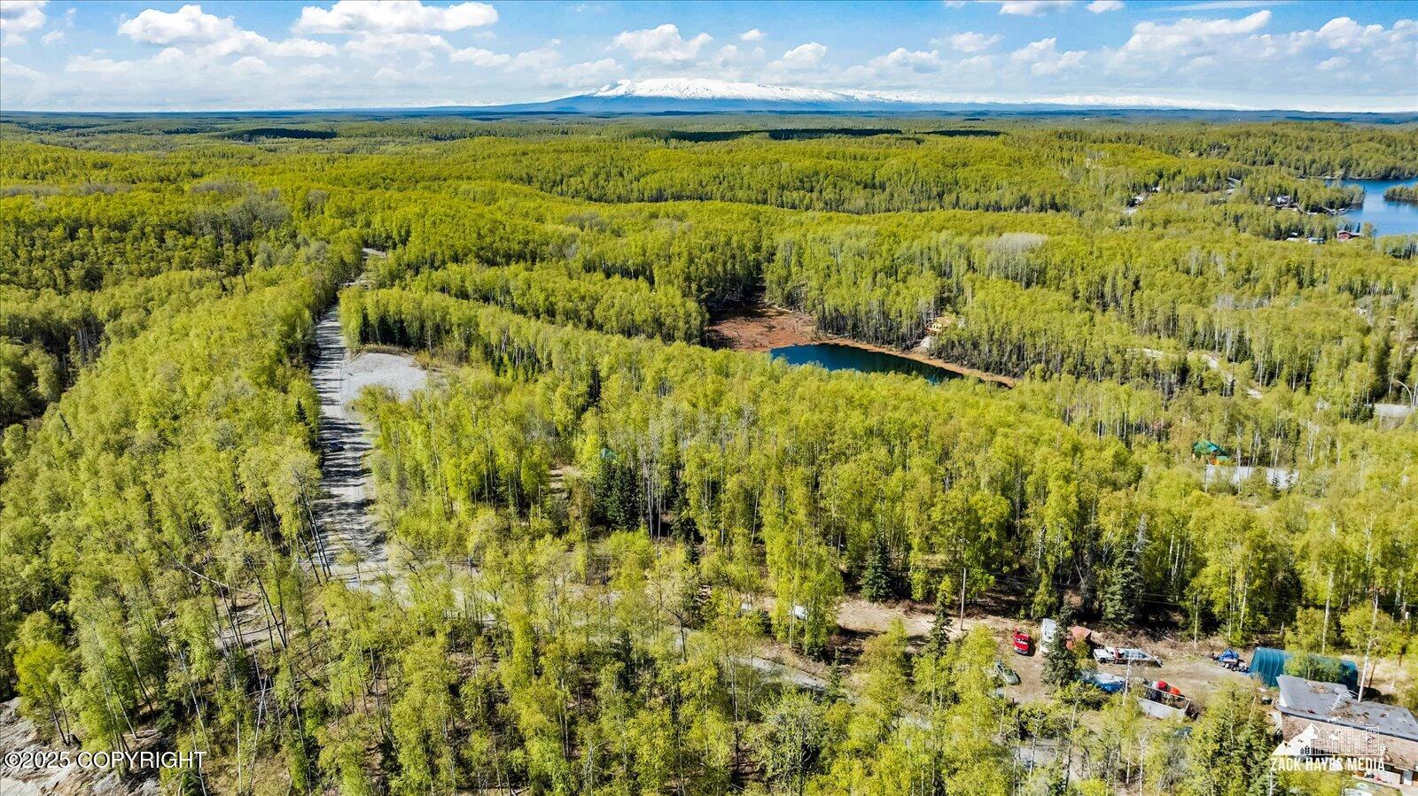 4658 S Burma Road, Big Lake, Alaska image 30