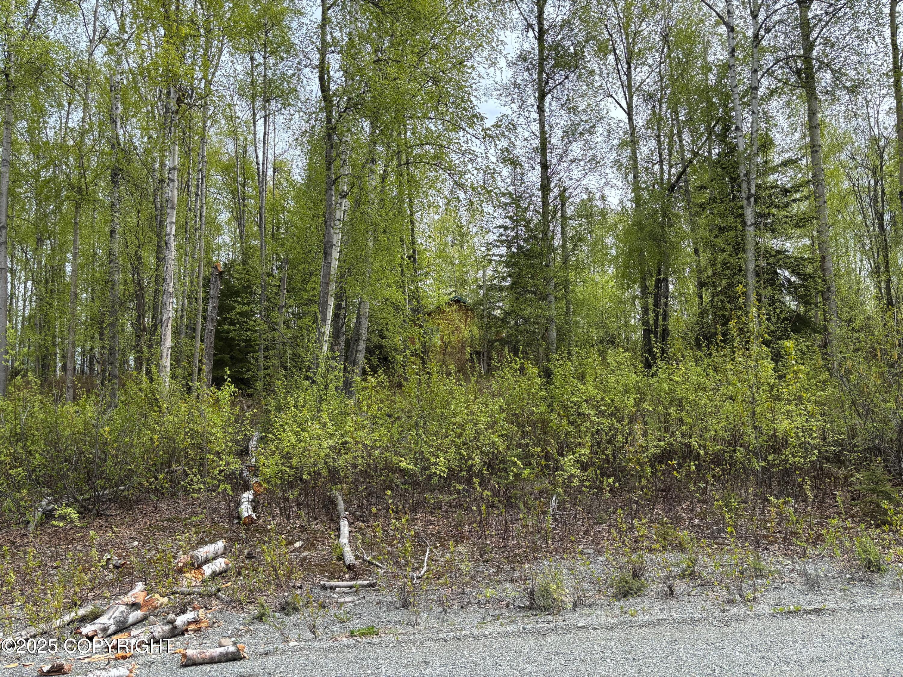 4658 S Burma Road, Big Lake, Alaska image 43