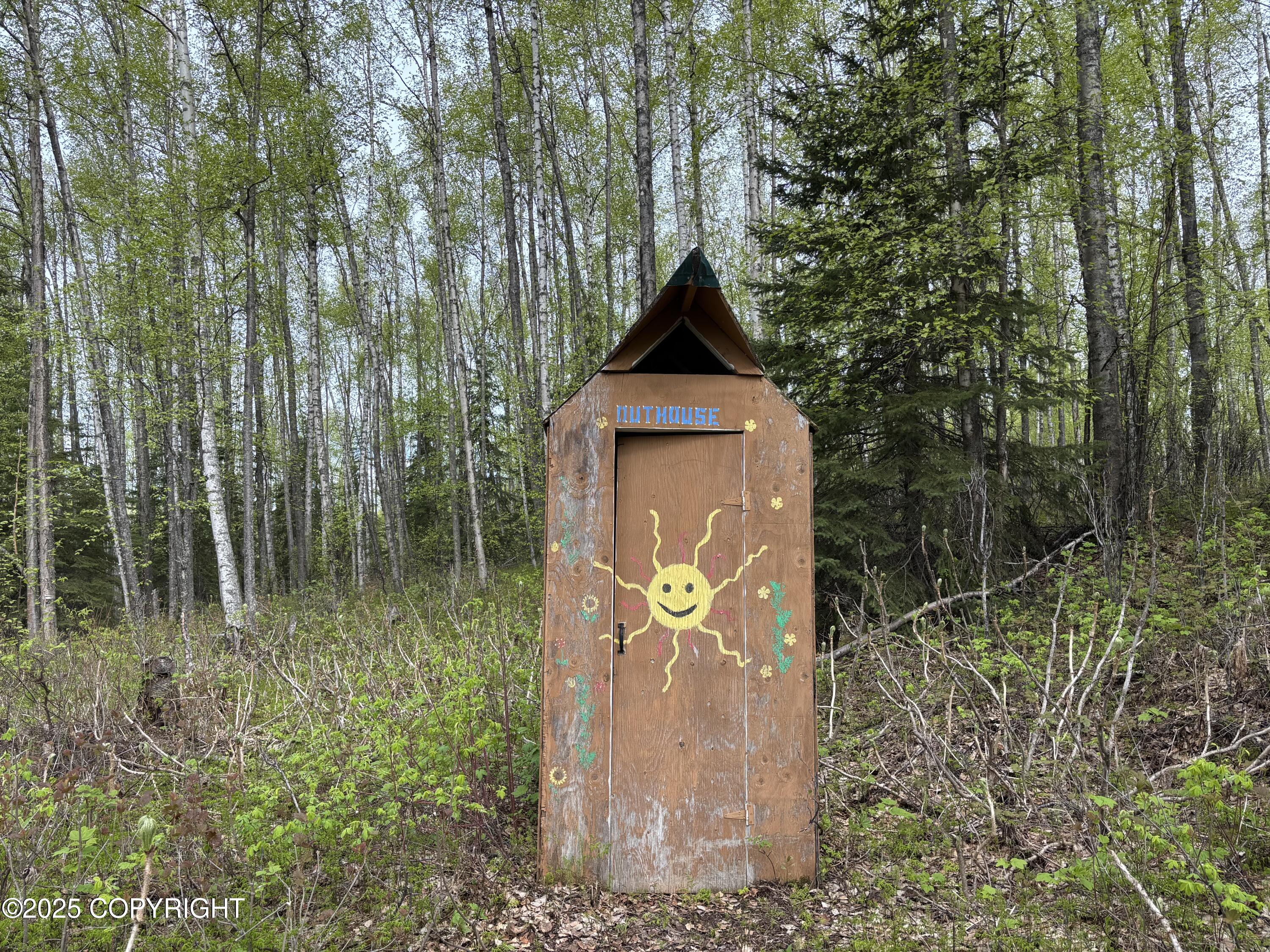 4658 S Burma Road, Big Lake, Alaska image 48