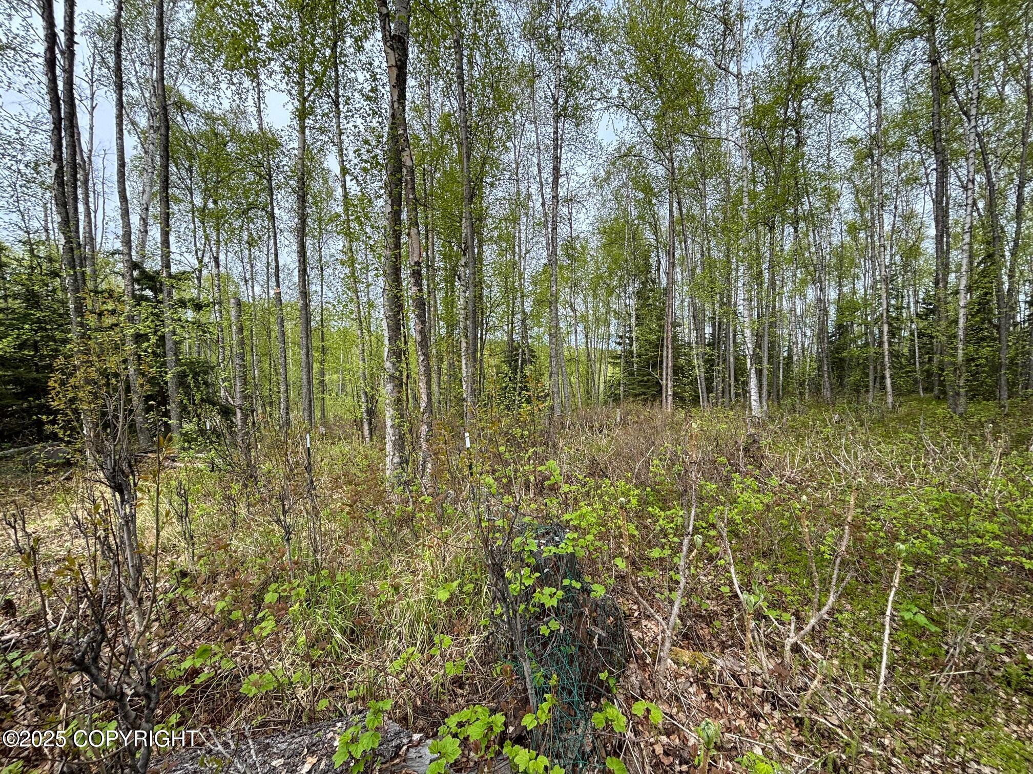 4658 S Burma Road, Big Lake, Alaska image 50