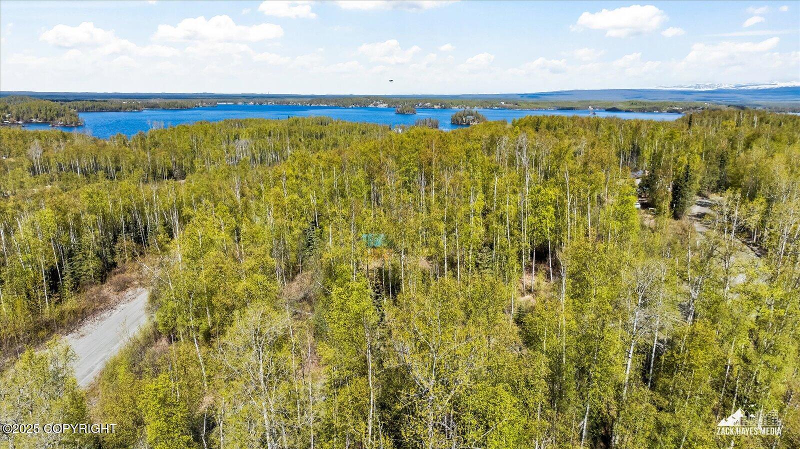 4658 S Burma Road, Big Lake, Alaska image 9