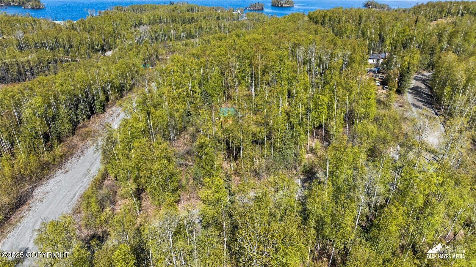 4658 S Burma Road, Big Lake, Alaska image 8