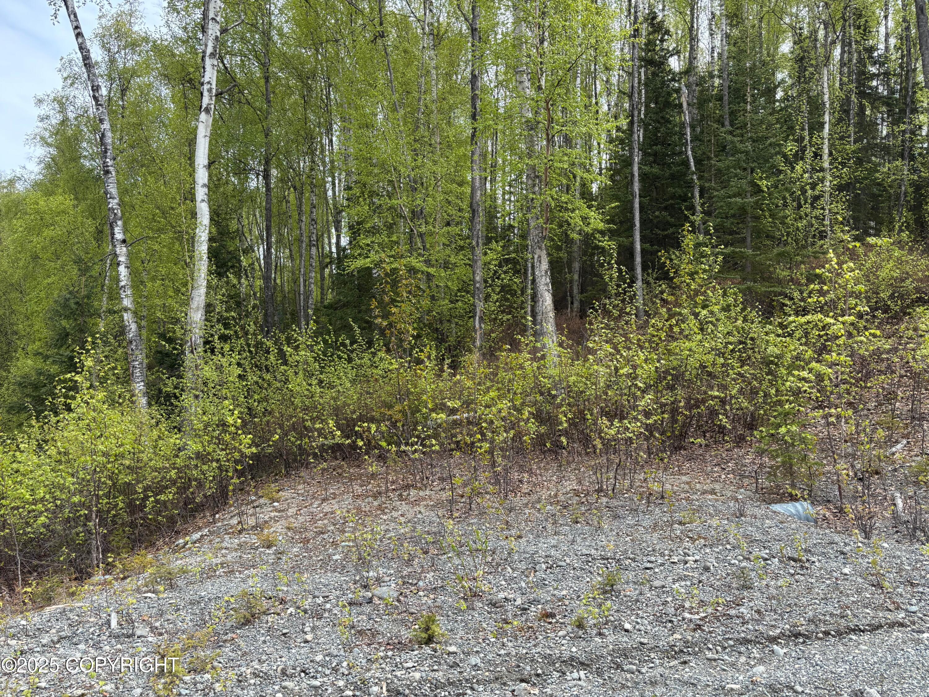 4658 S Burma Road, Big Lake, Alaska image 41