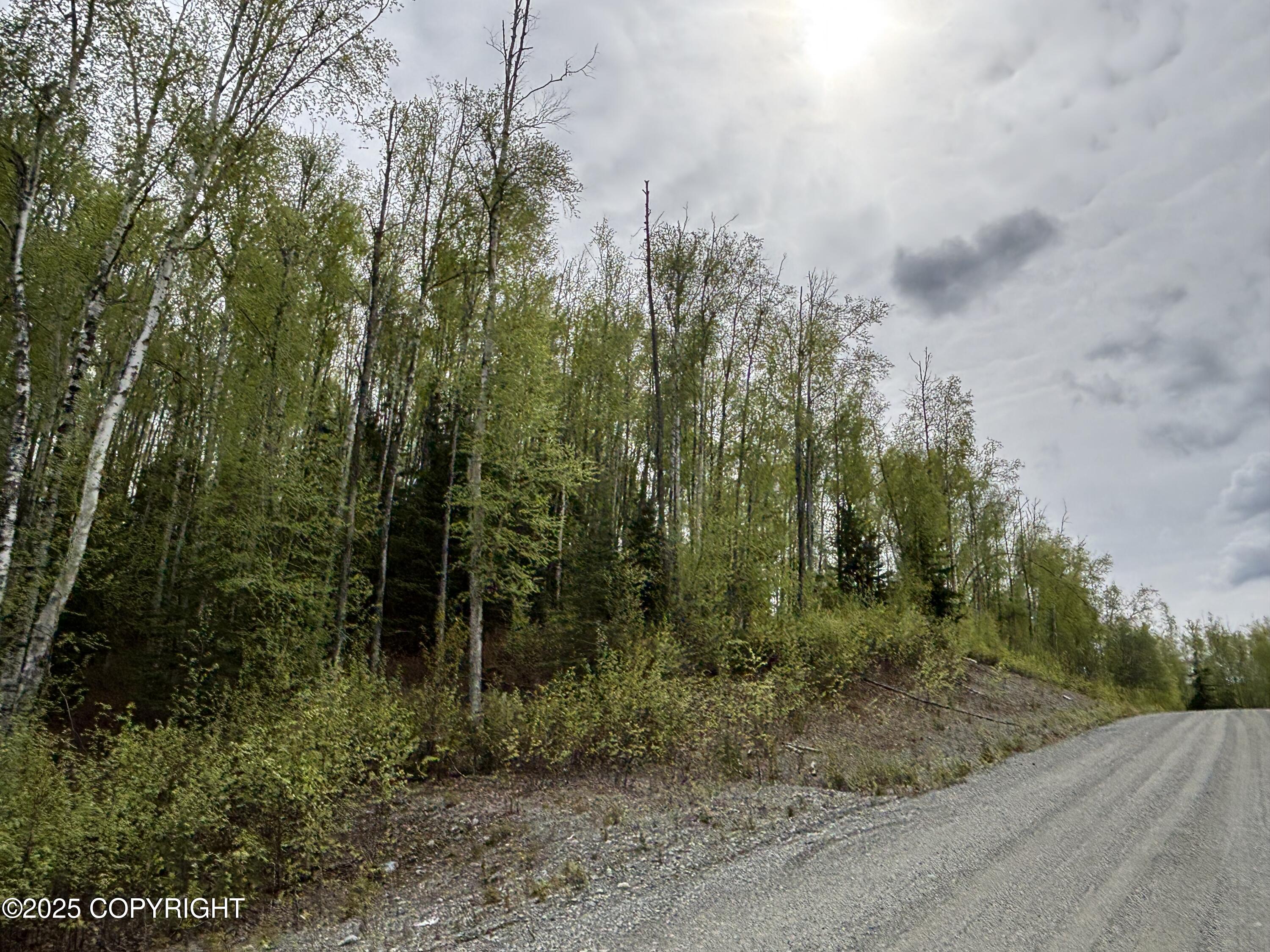 4658 S Burma Road, Big Lake, Alaska image 39