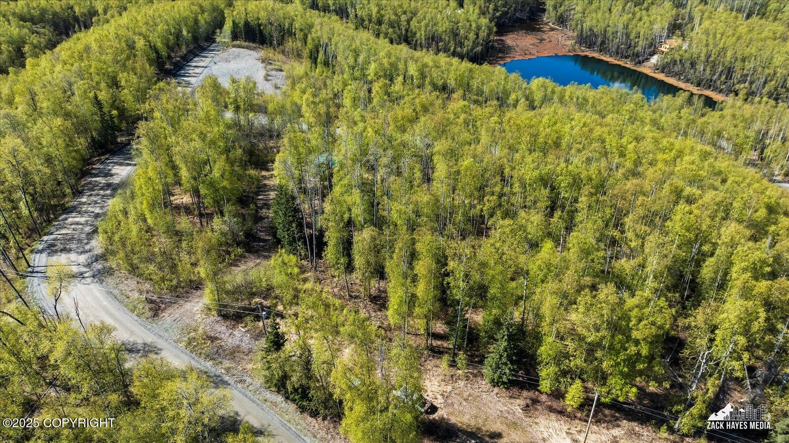 4658 S Burma Road, Big Lake, Alaska image 15