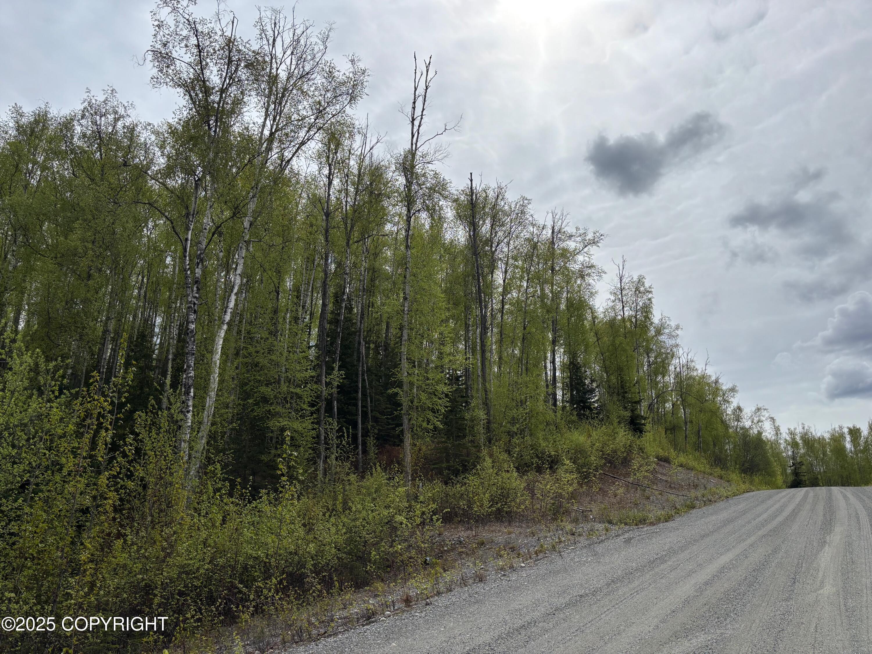 4658 S Burma Road, Big Lake, Alaska image 40
