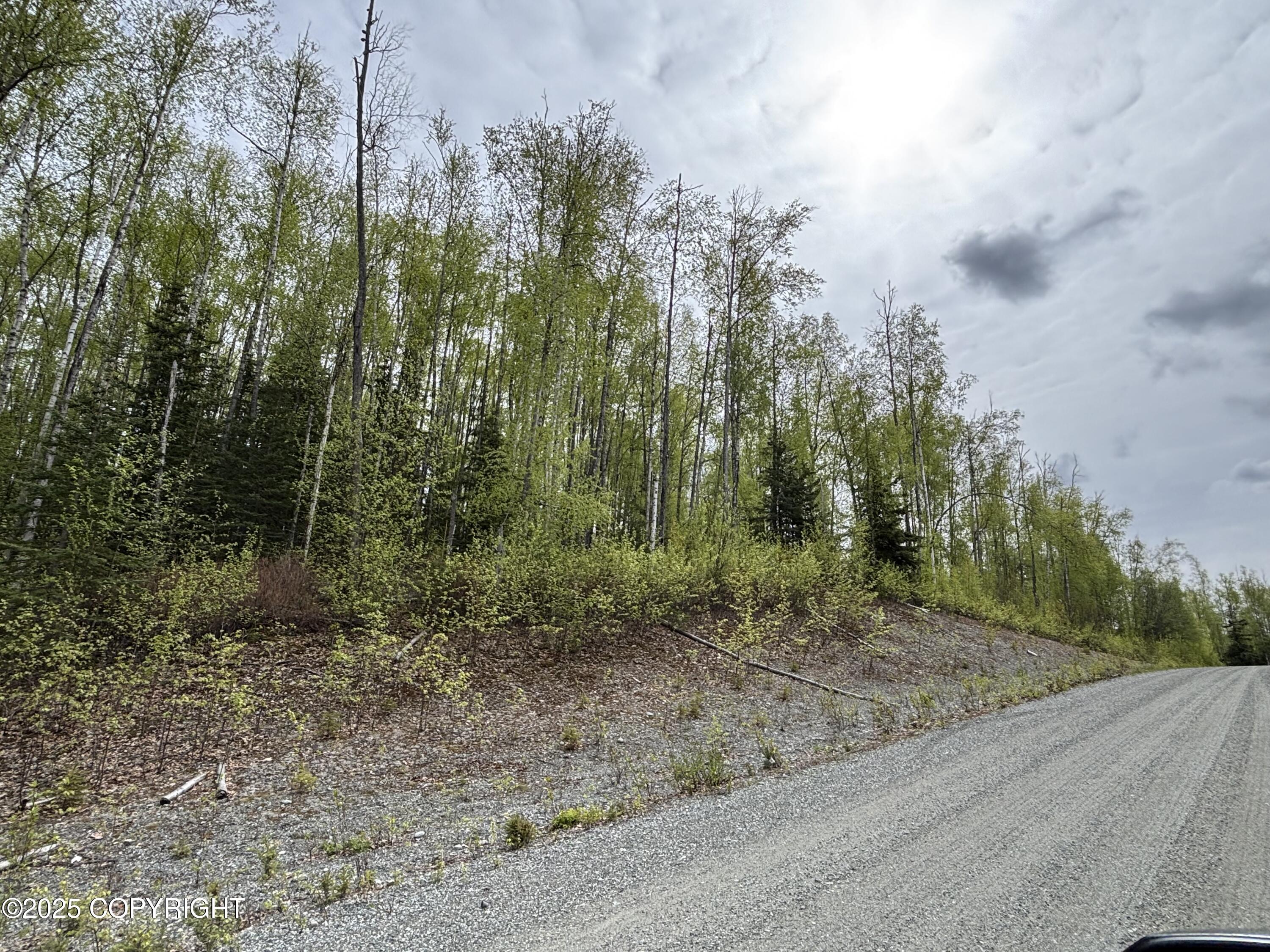 4658 S Burma Road, Big Lake, Alaska image 42