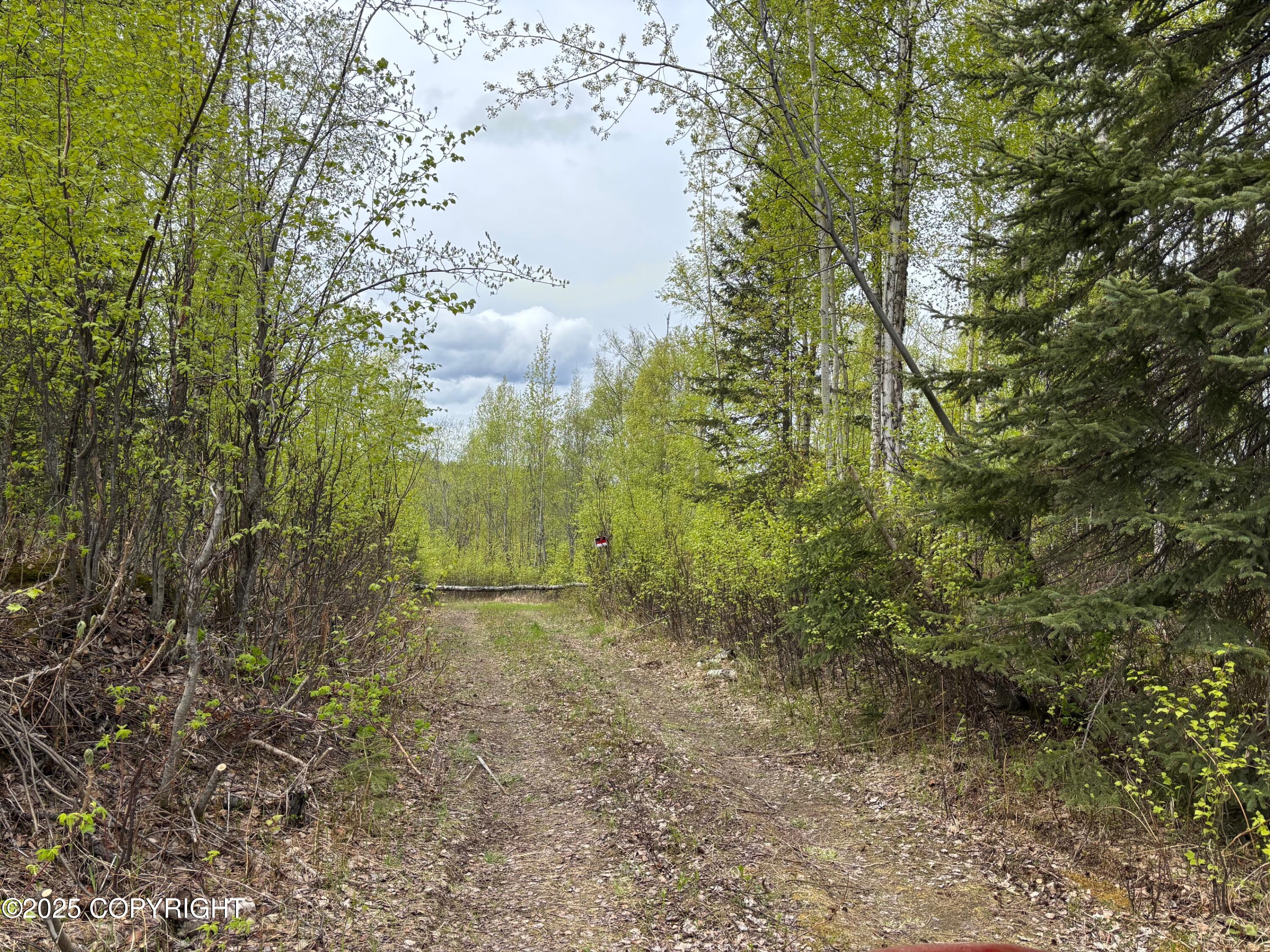 4658 S Burma Road, Big Lake, Alaska image 36