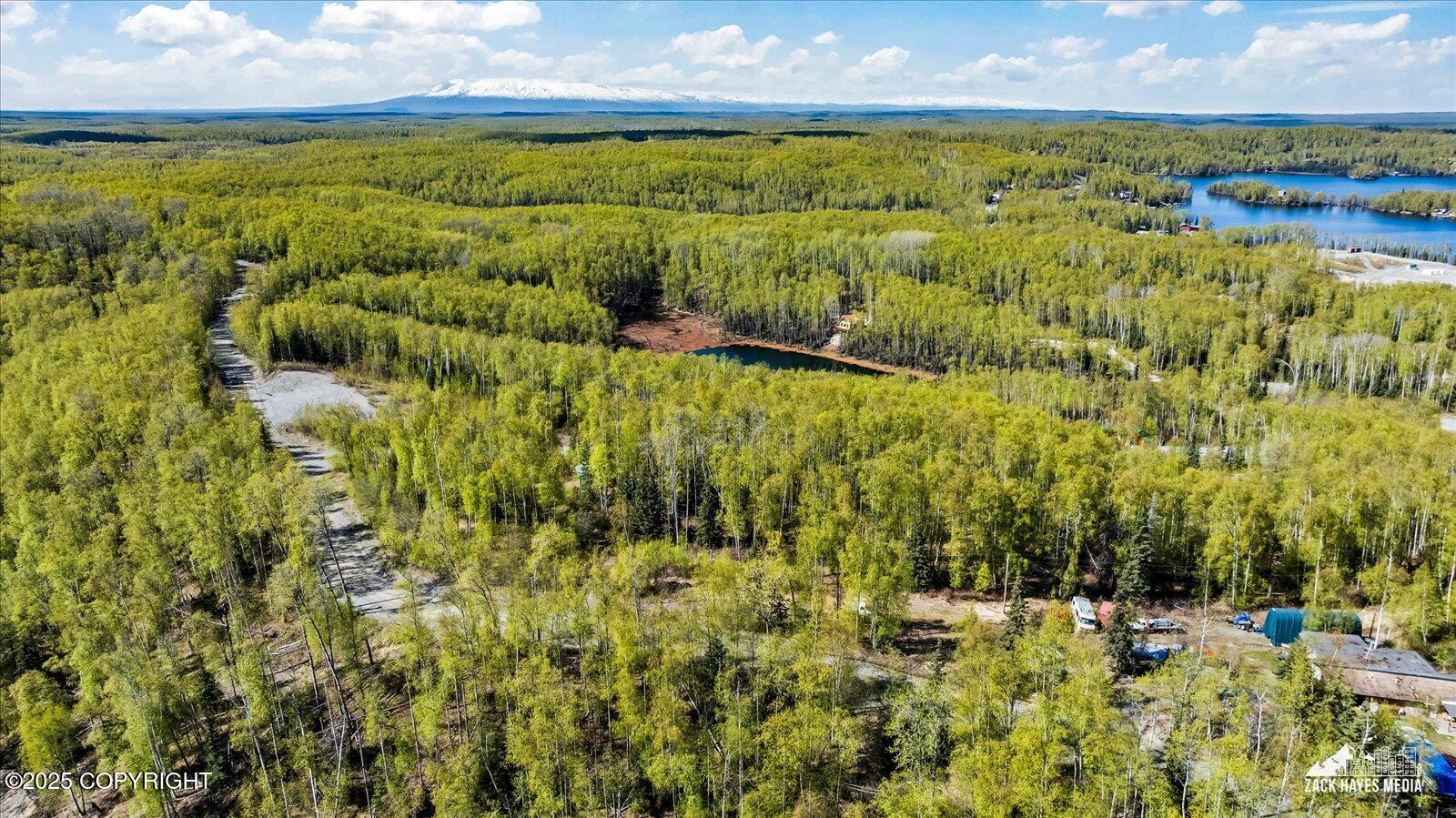 4658 S Burma Road, Big Lake, Alaska image 29