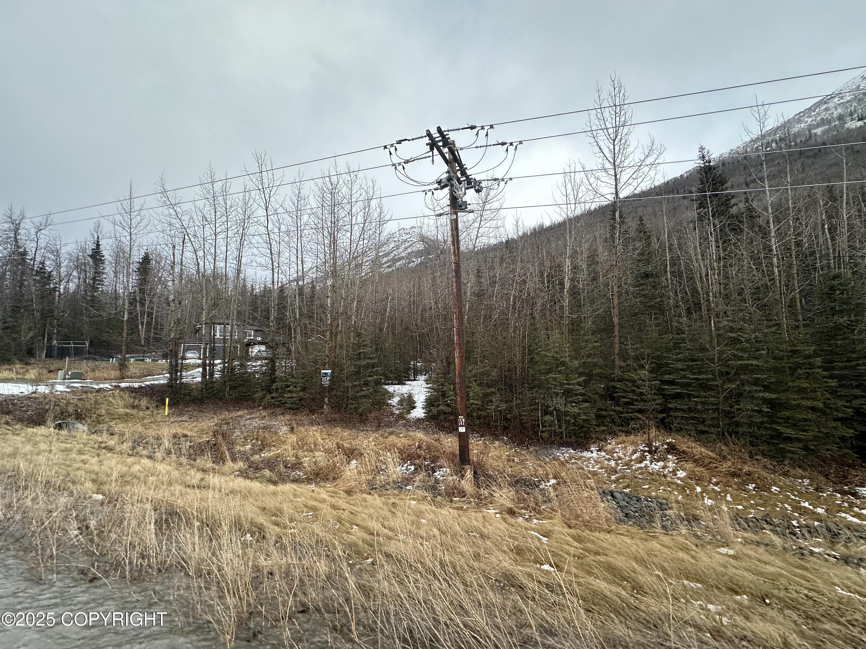 L12 Overlook Estates Drive, Eagle River, Alaska image 5