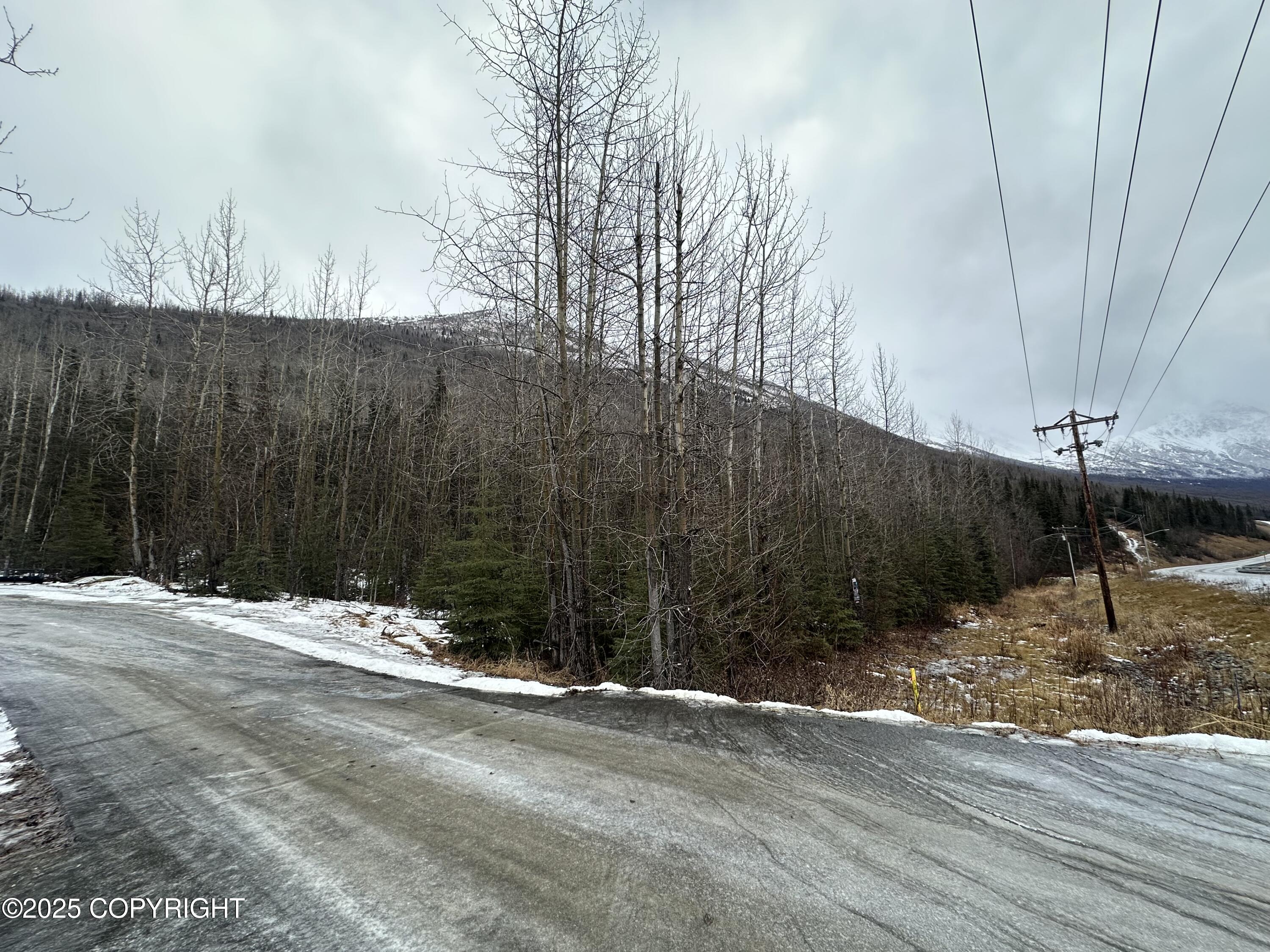 L12 Overlook Estates Drive, Eagle River, Alaska image 7
