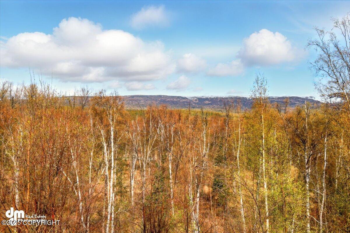 4040 Pittman Road, Wasilla, Alaska image 29
